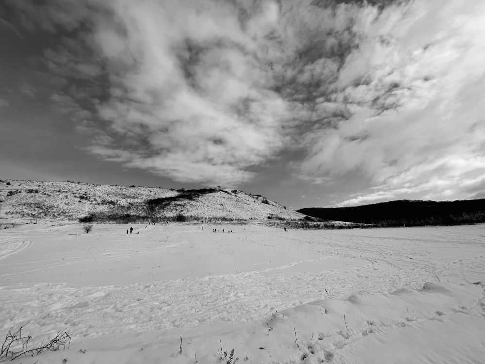 une photo en noir et blanc d’un champ enneigé