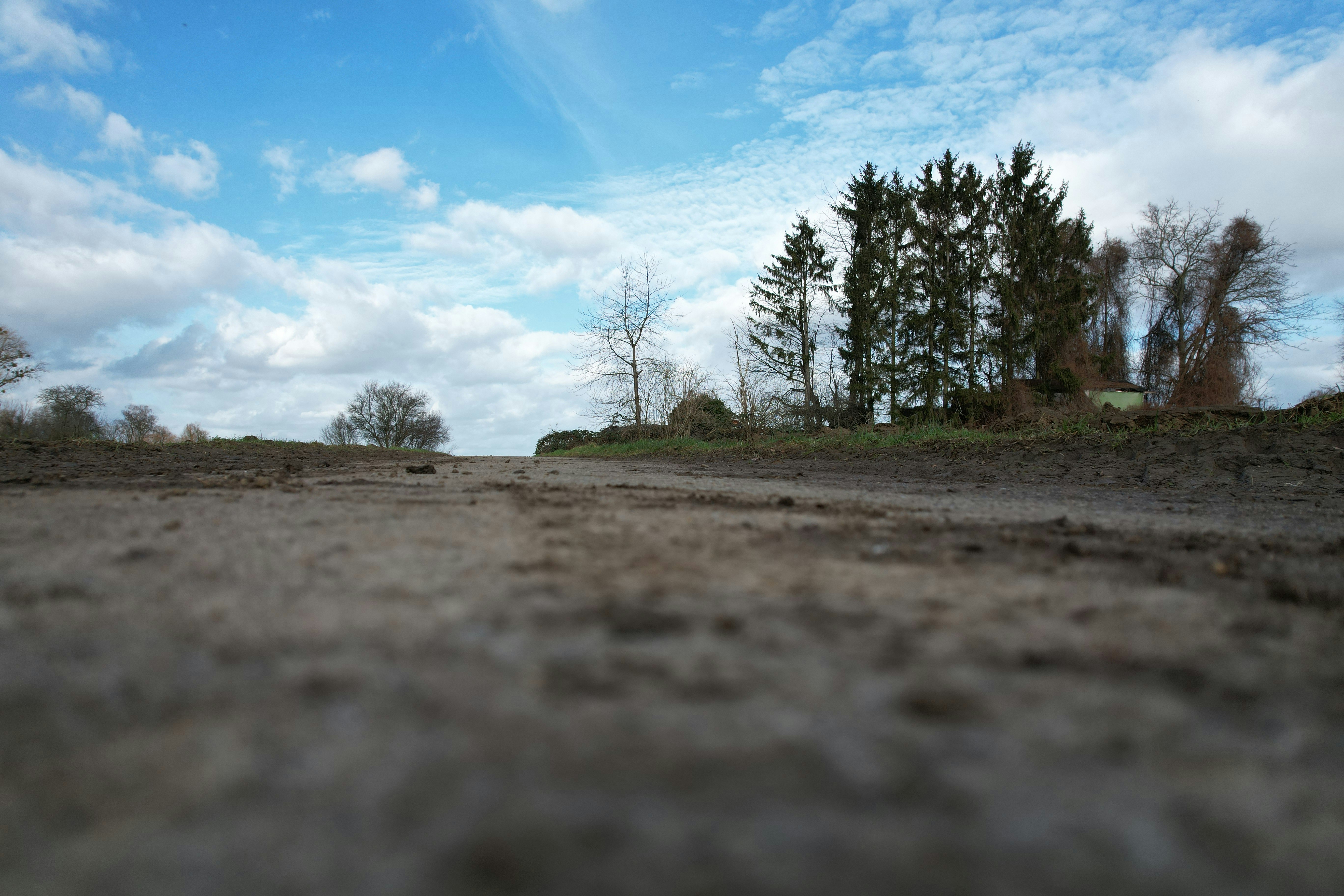 Photo by hdbernd