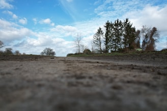 a dirt road with trees in the background