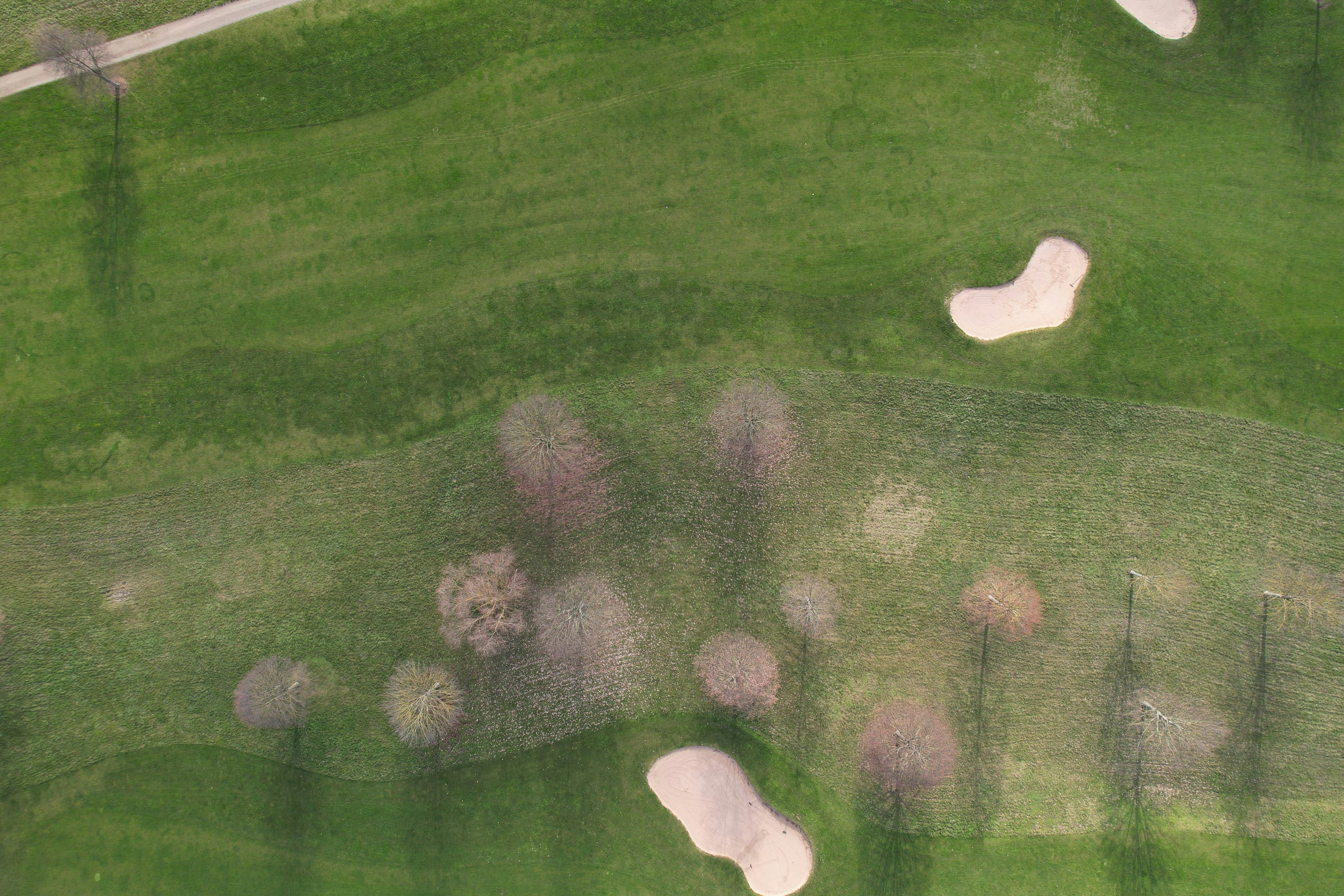 An aerial view of a golf course with trees photo Free Golf Image on Unsplash
