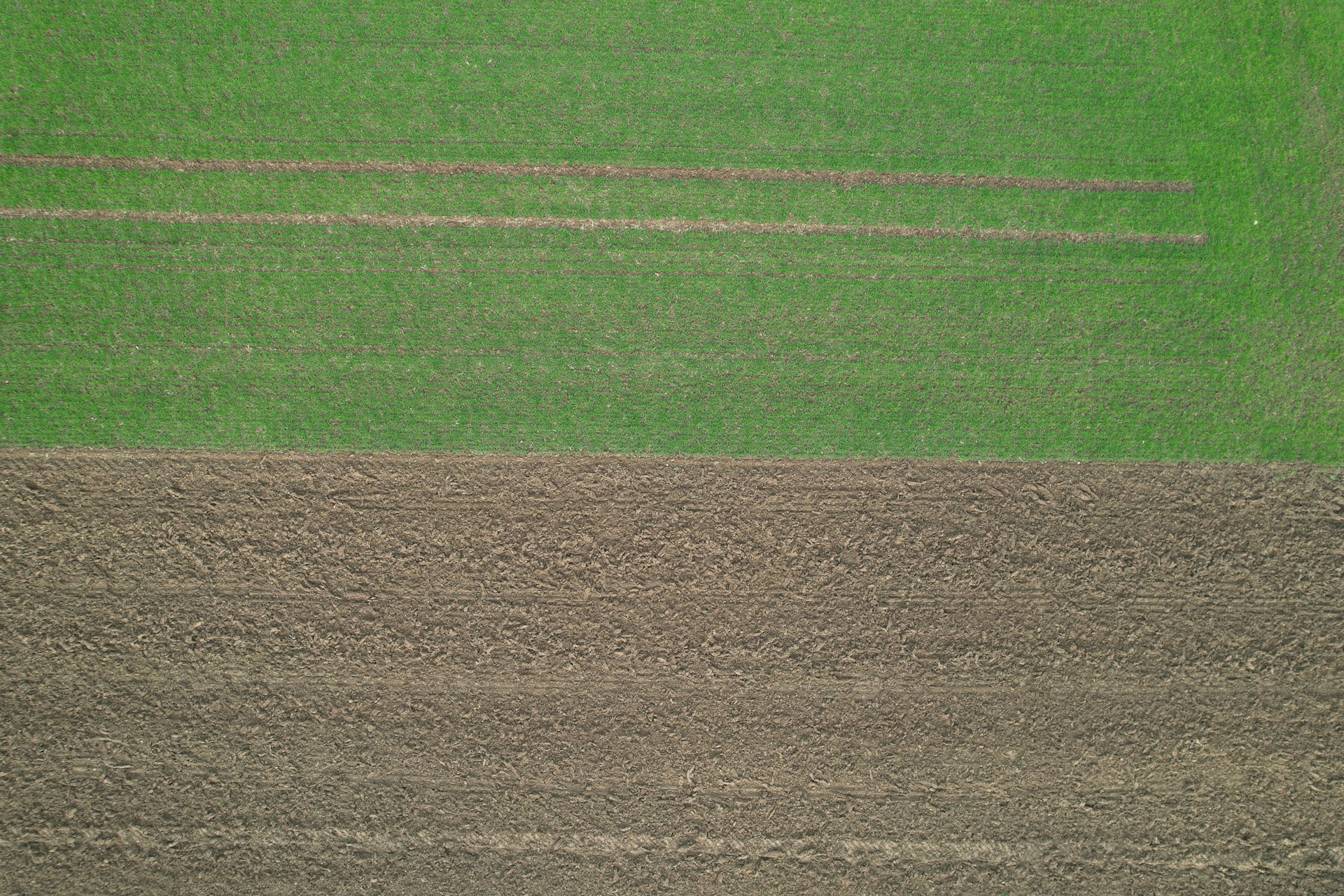 an aerial view of a green field with a horse in the middle