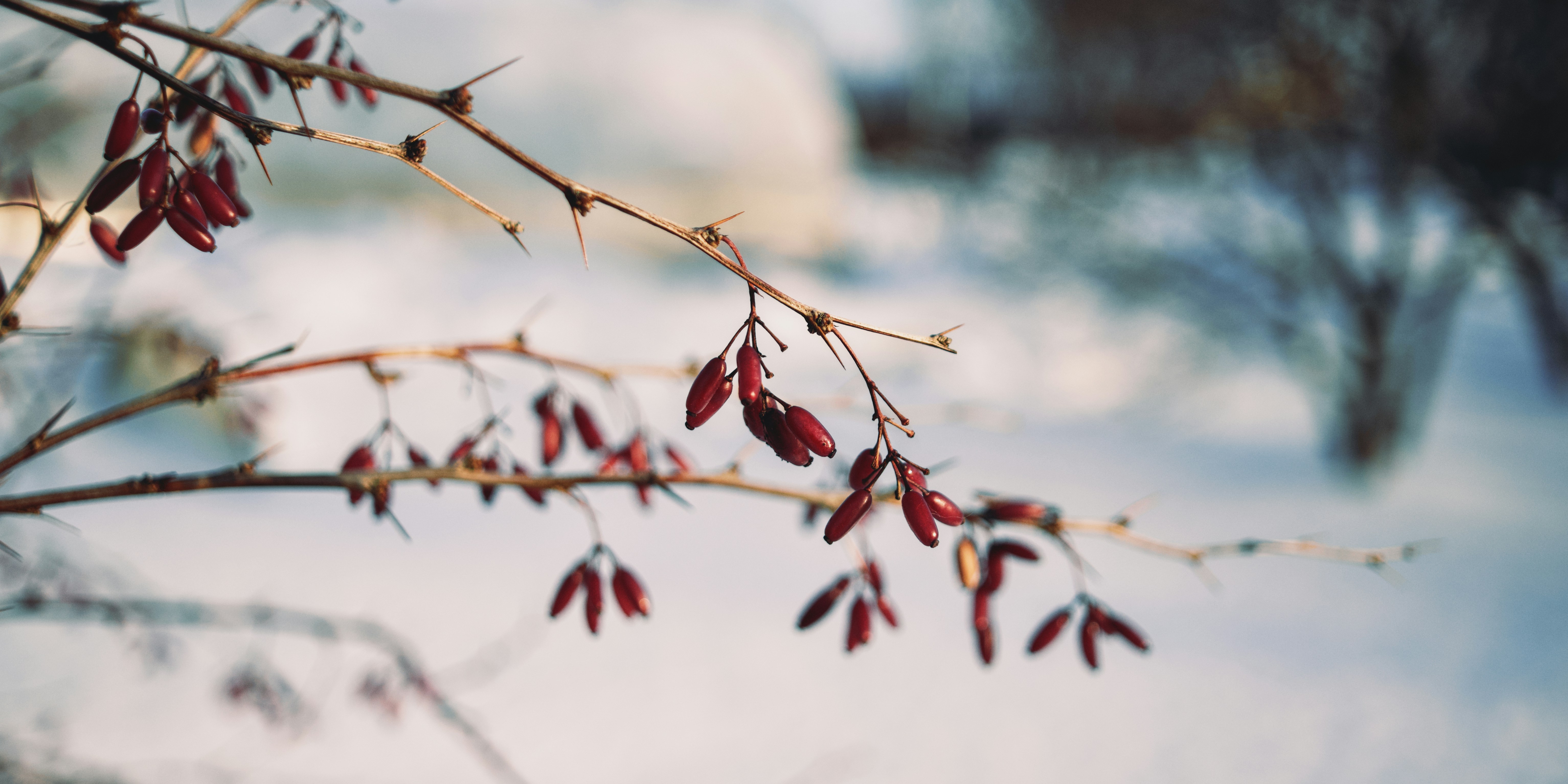 Photo by kazusaki_sagar