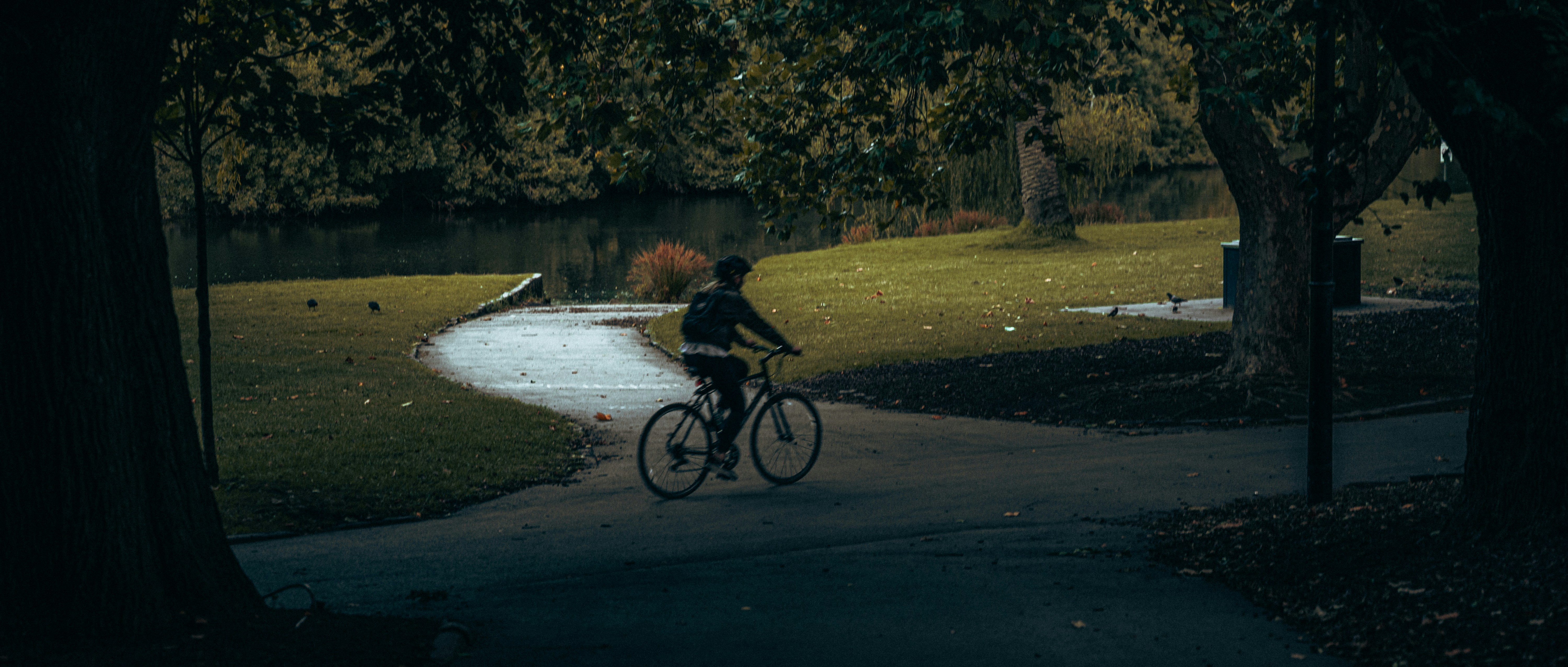 Photo by yigitarisoy