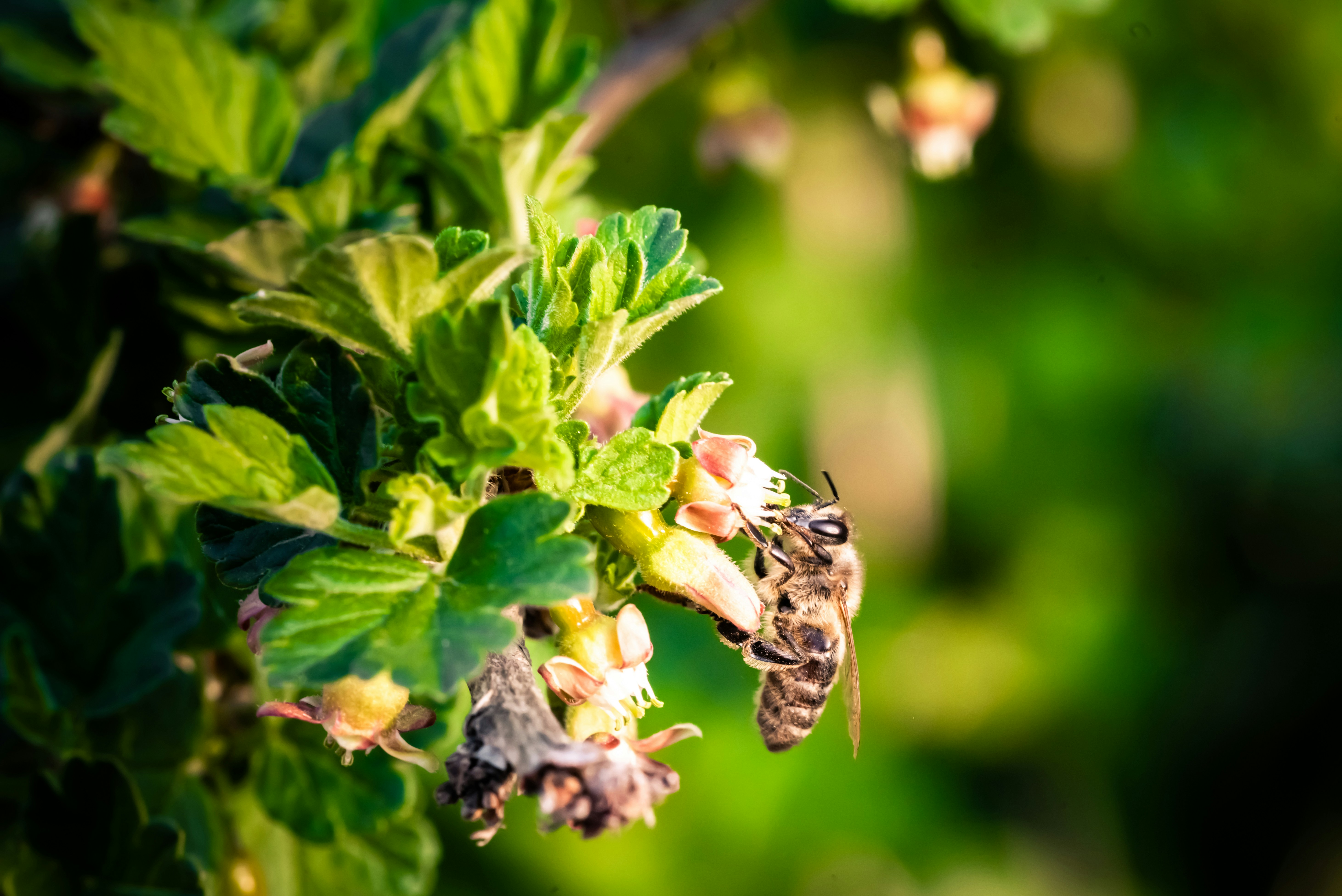 Photo by bermixstudio