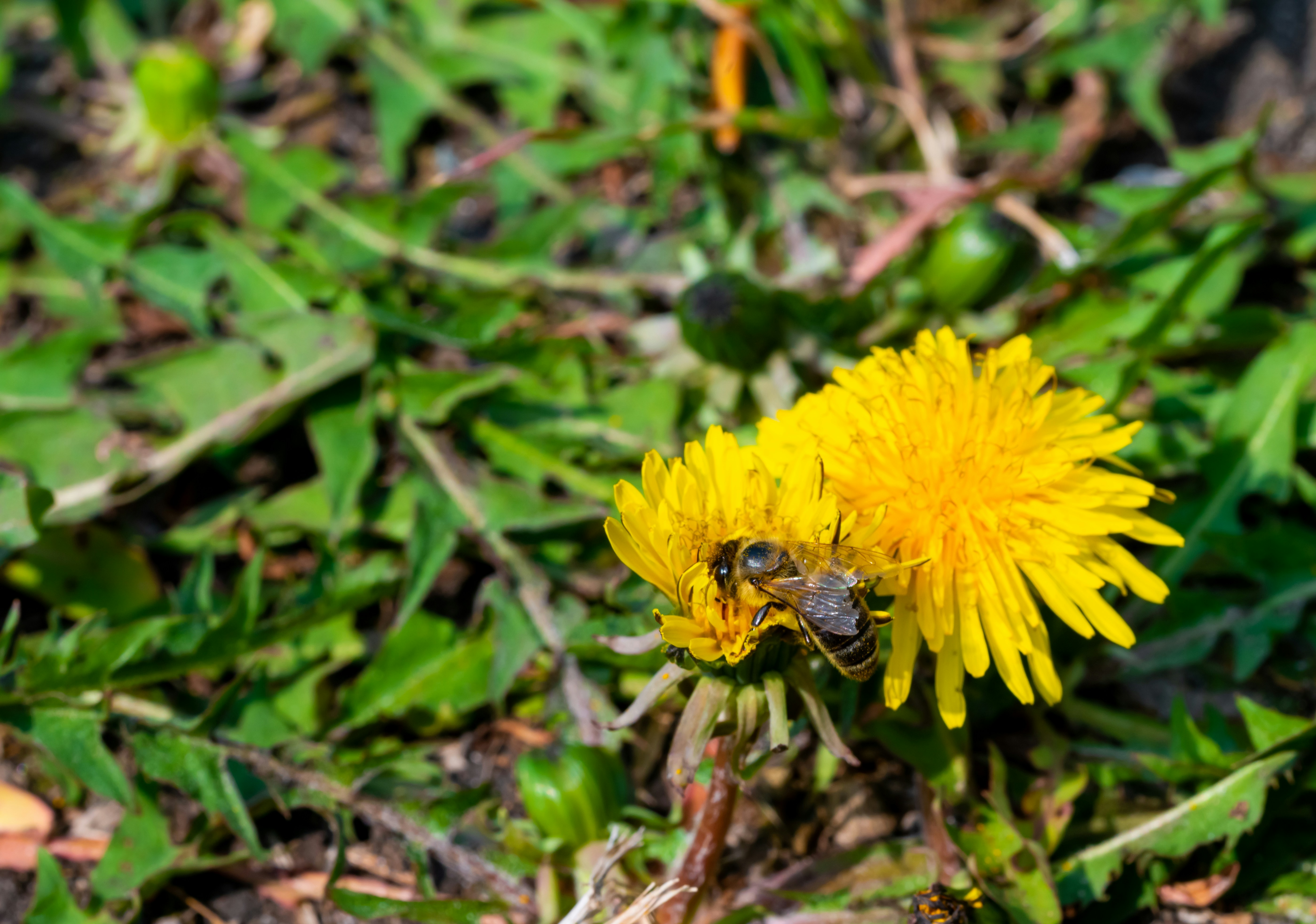 Photo by bermixstudio