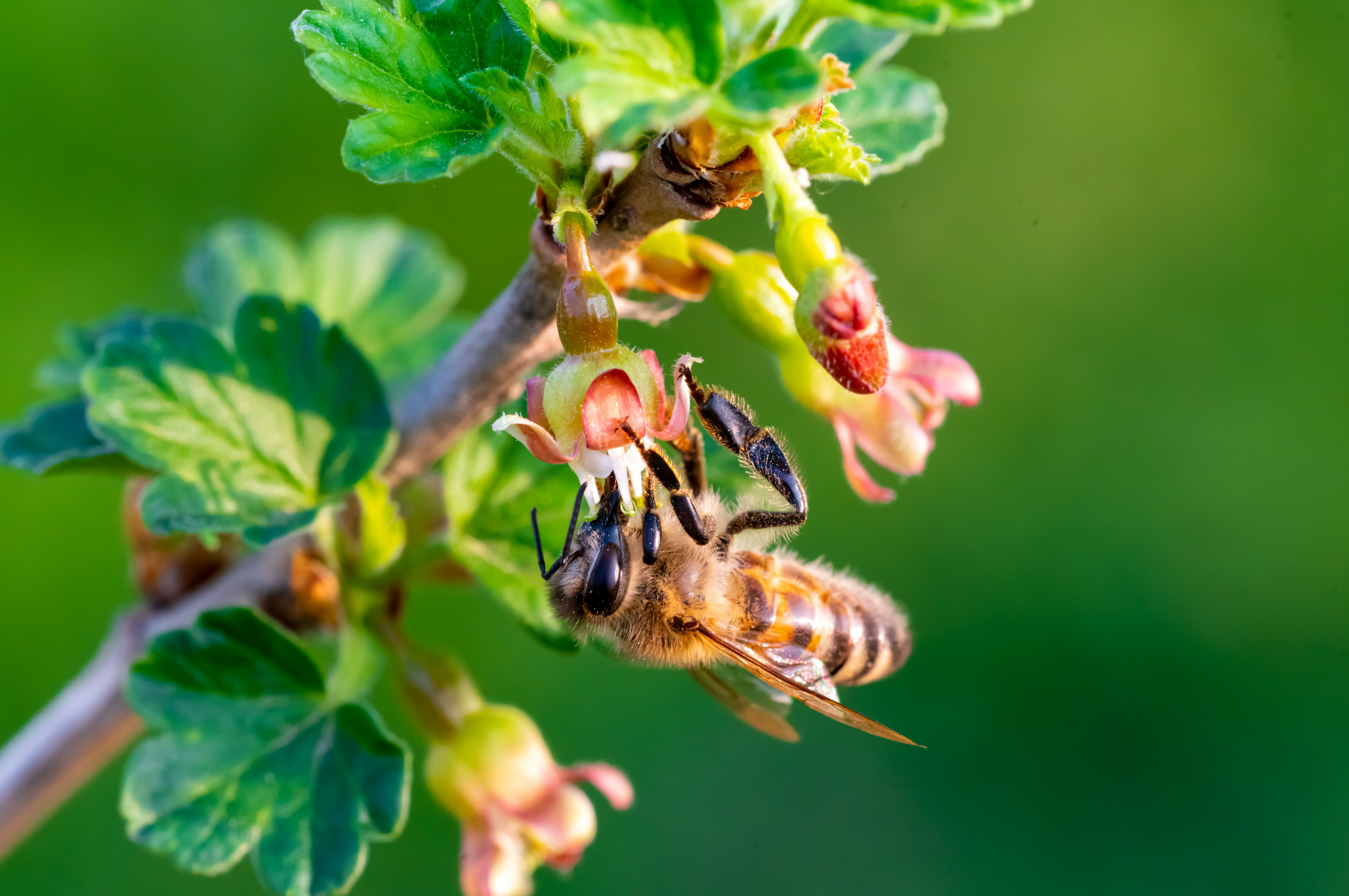 Photo by bermixstudio