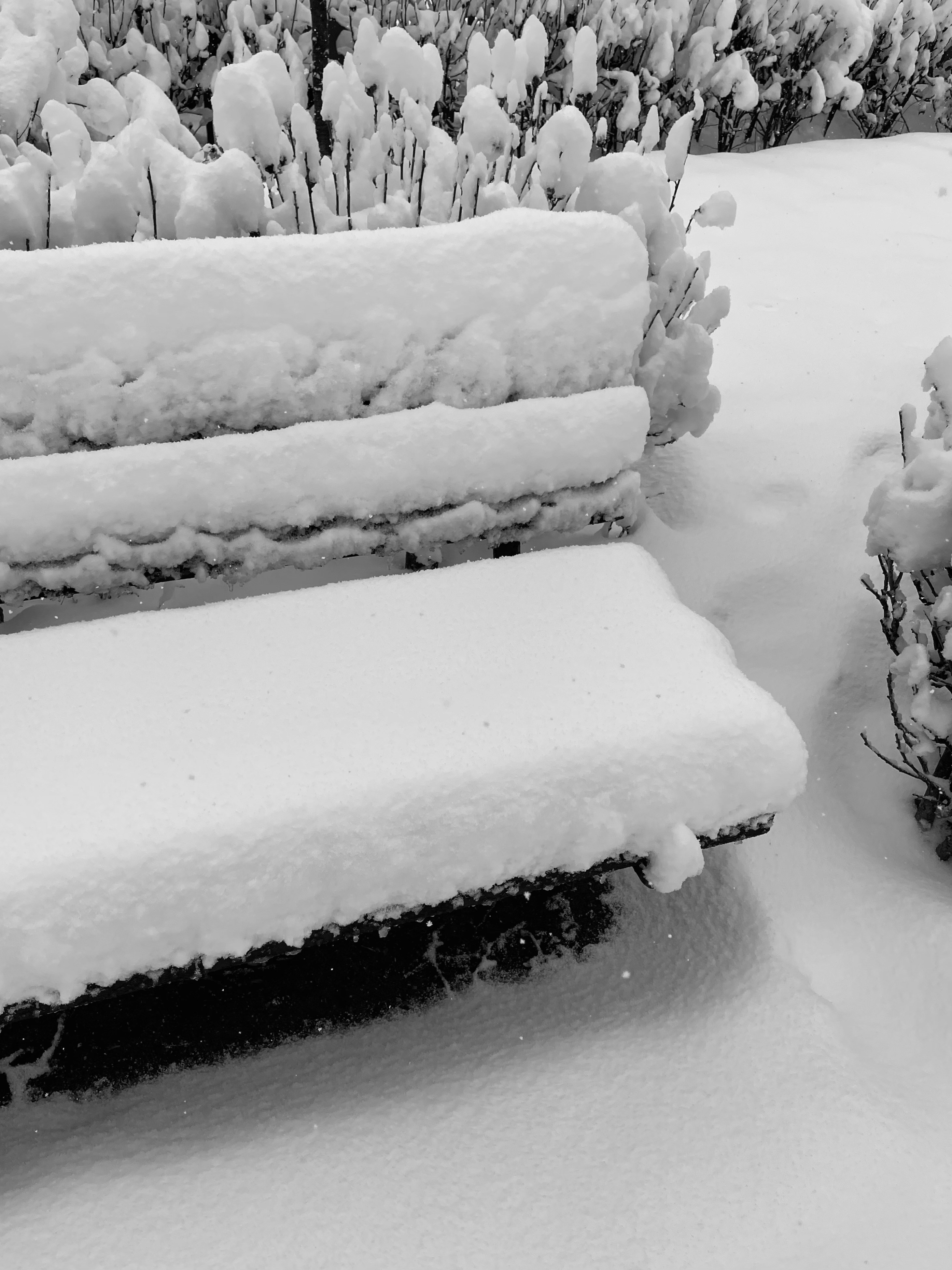 Photo by sonyamaria15