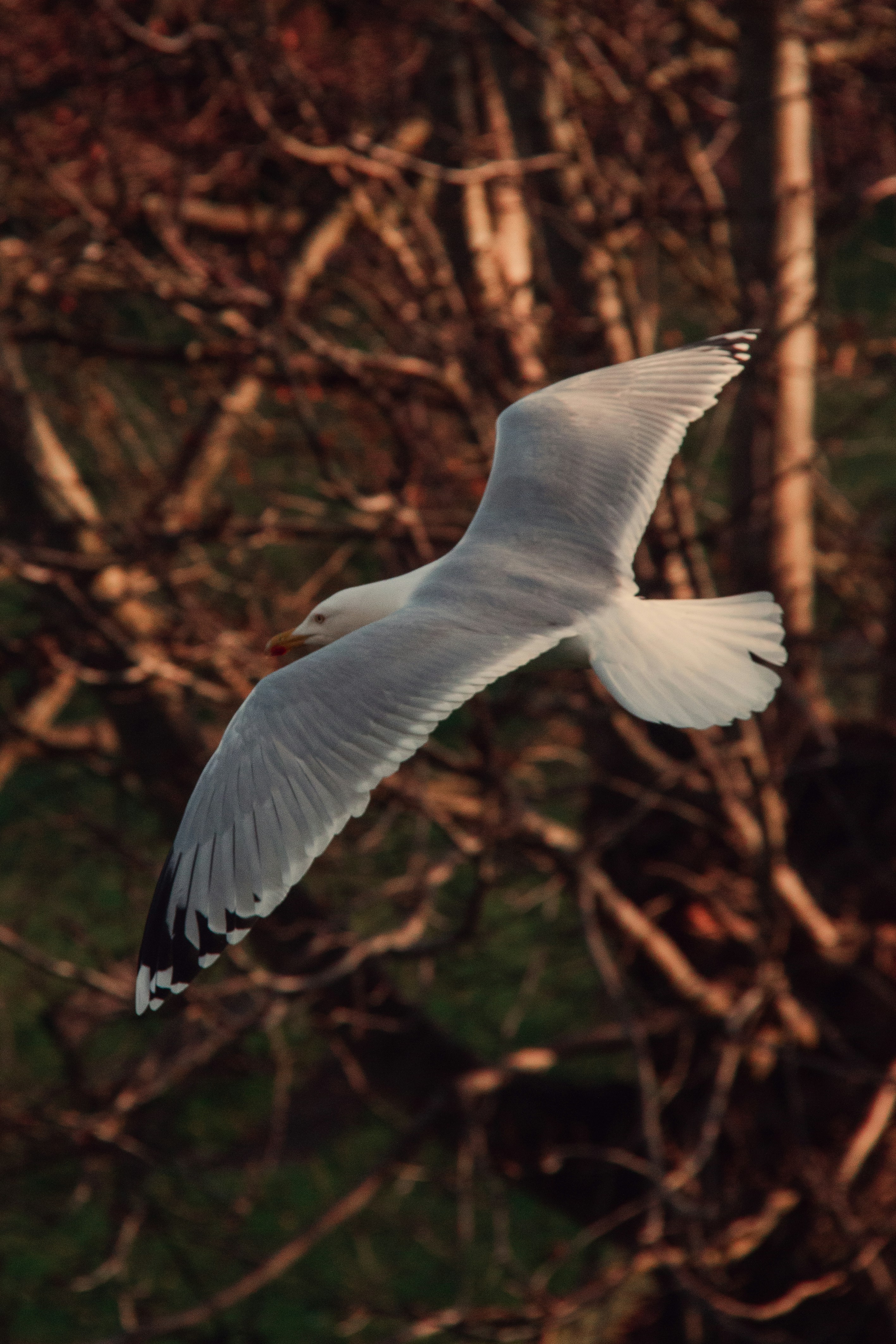 Photo by charlieh_viewfinder