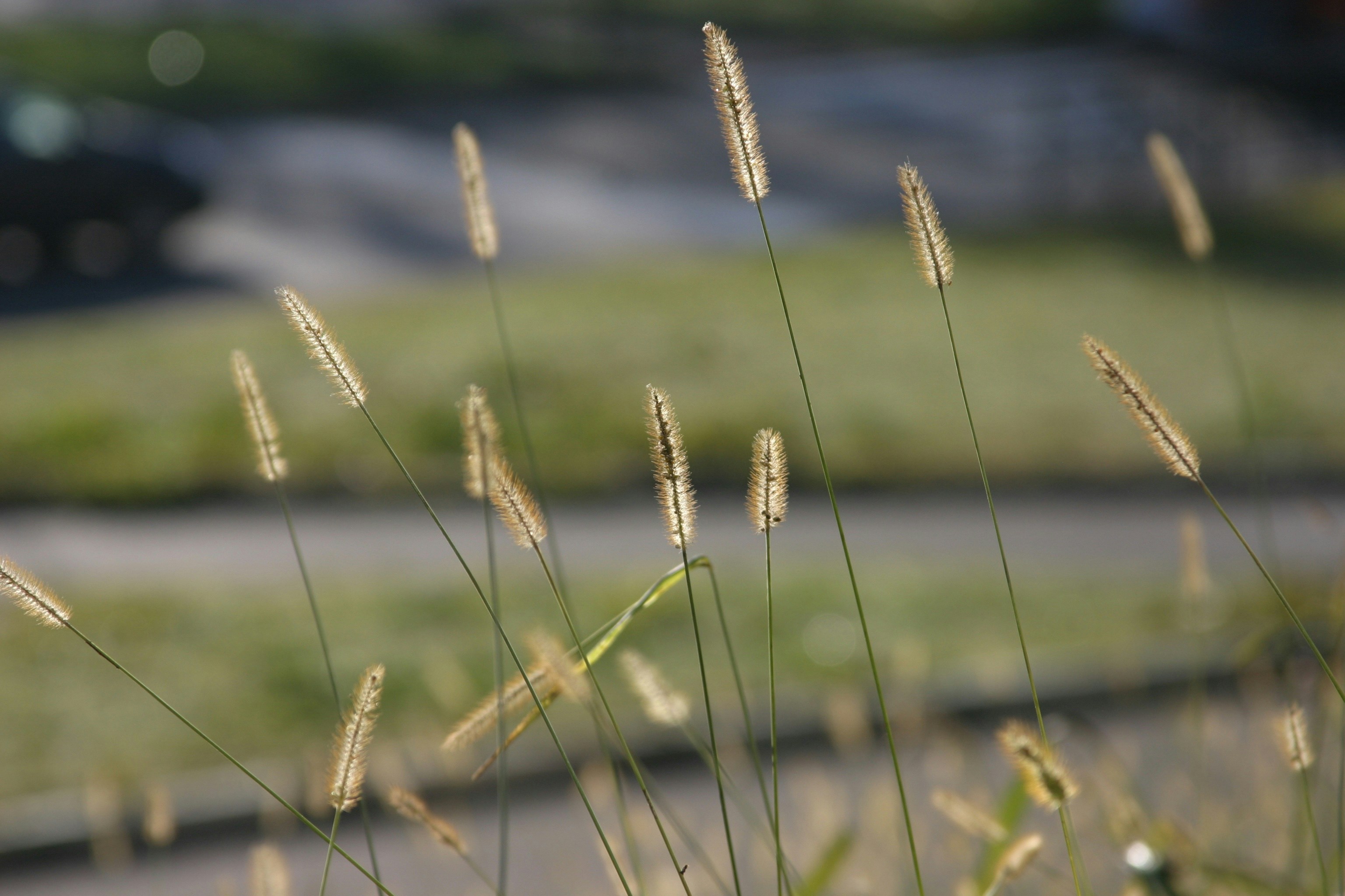 Photo by reden_fx