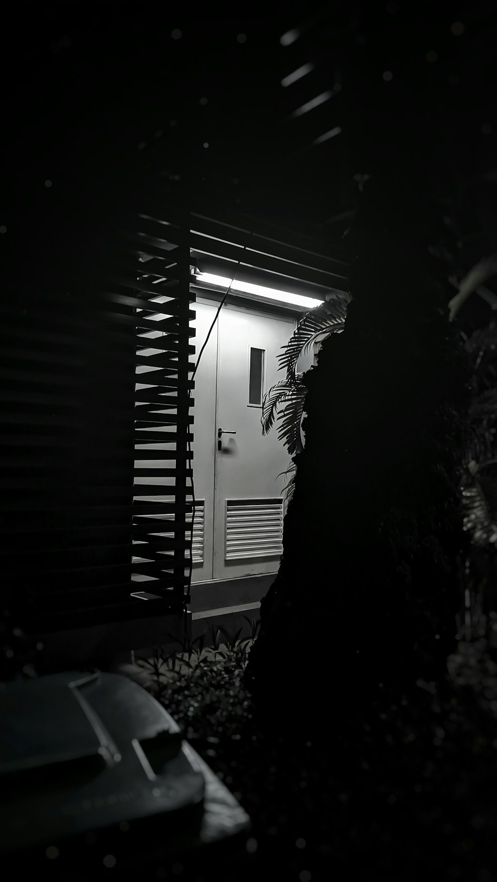 Una foto en blanco y negro de una puerta en la oscuridad
