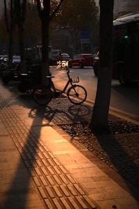 City Cruiser