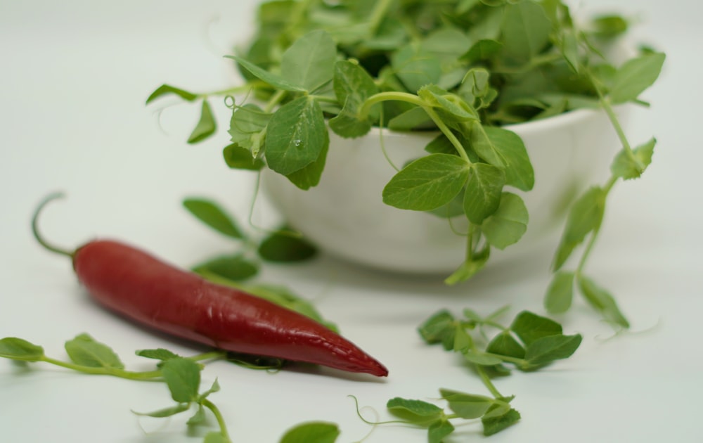 a red chili pepper sitting next to a bowl of green leaves