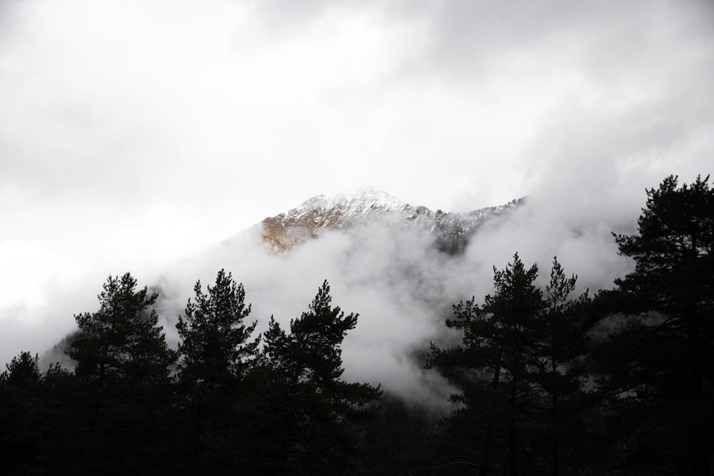 a mountain covered in clouds and trees under a cloudy sky