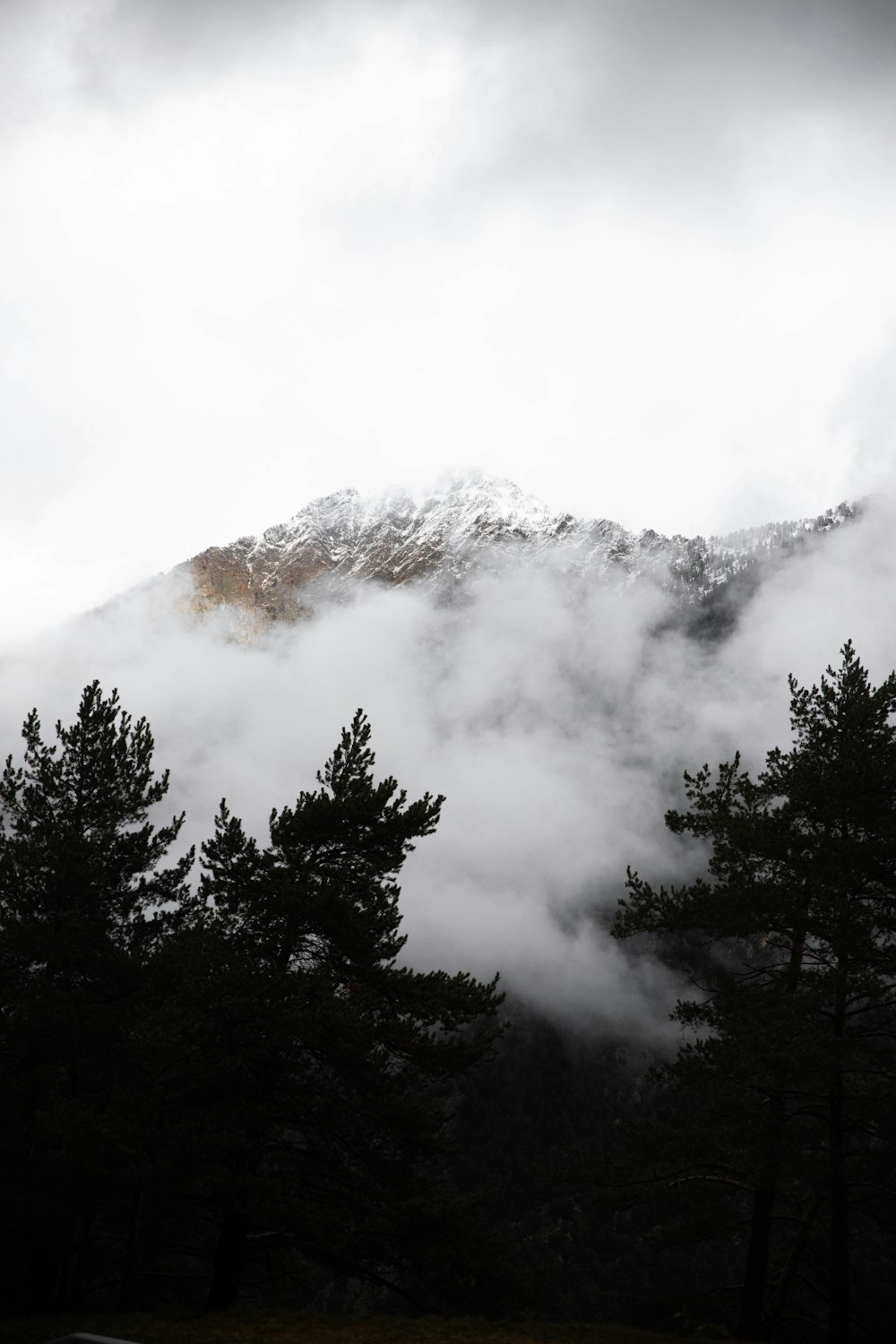 a mountain covered in clouds and trees under a cloudy sky