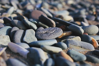 Variety of colorful landscaping stones displayed in natural light.
