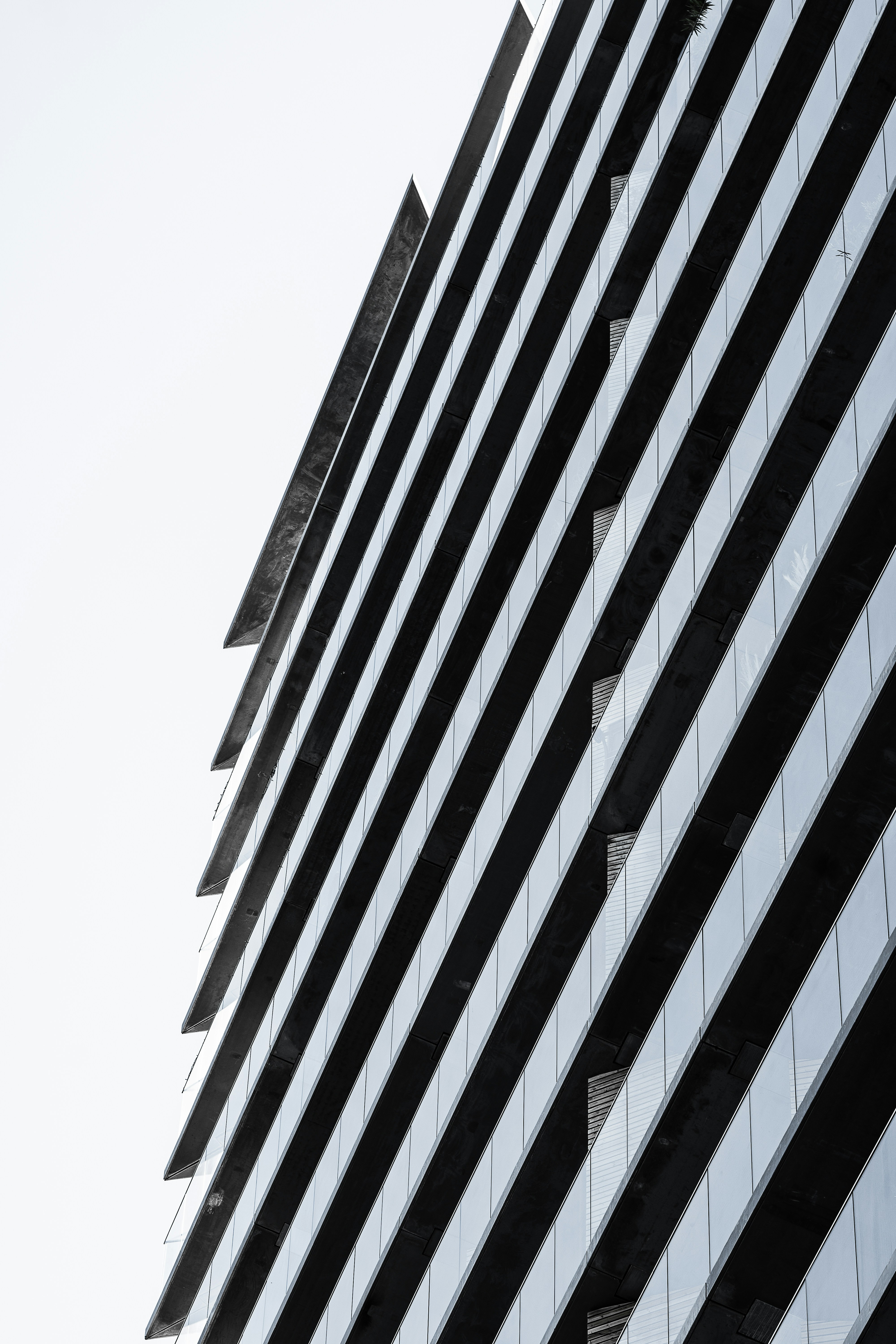 Photo by notsocreative