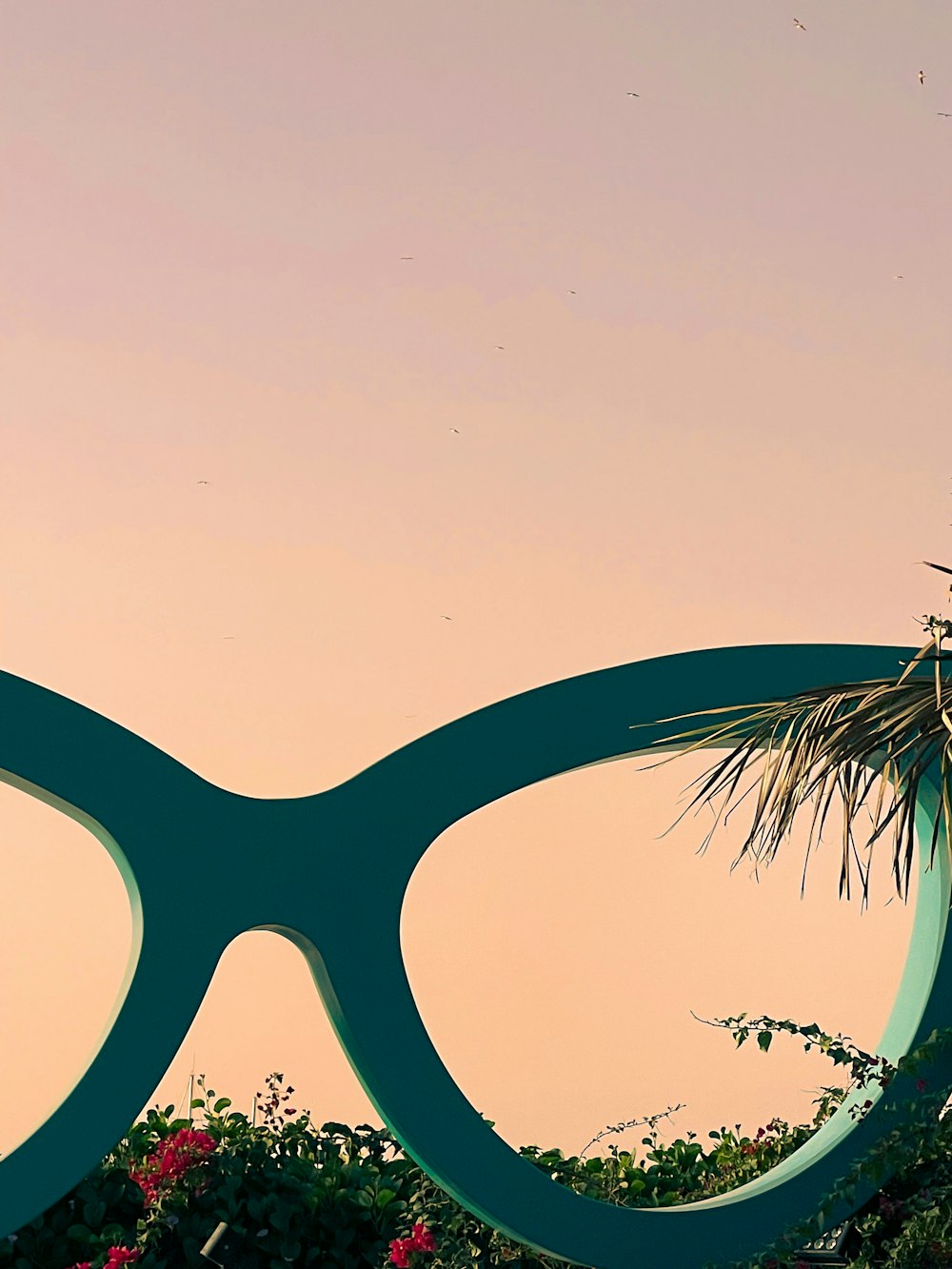 a pair of glasses with a palm tree in the background