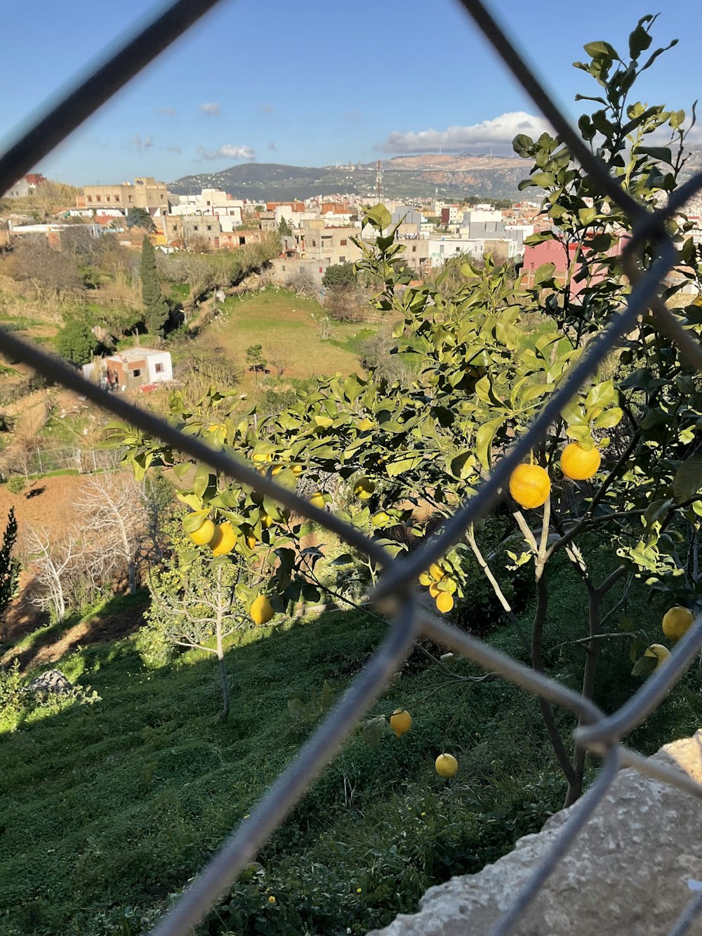 a view of a city through a chain link fence