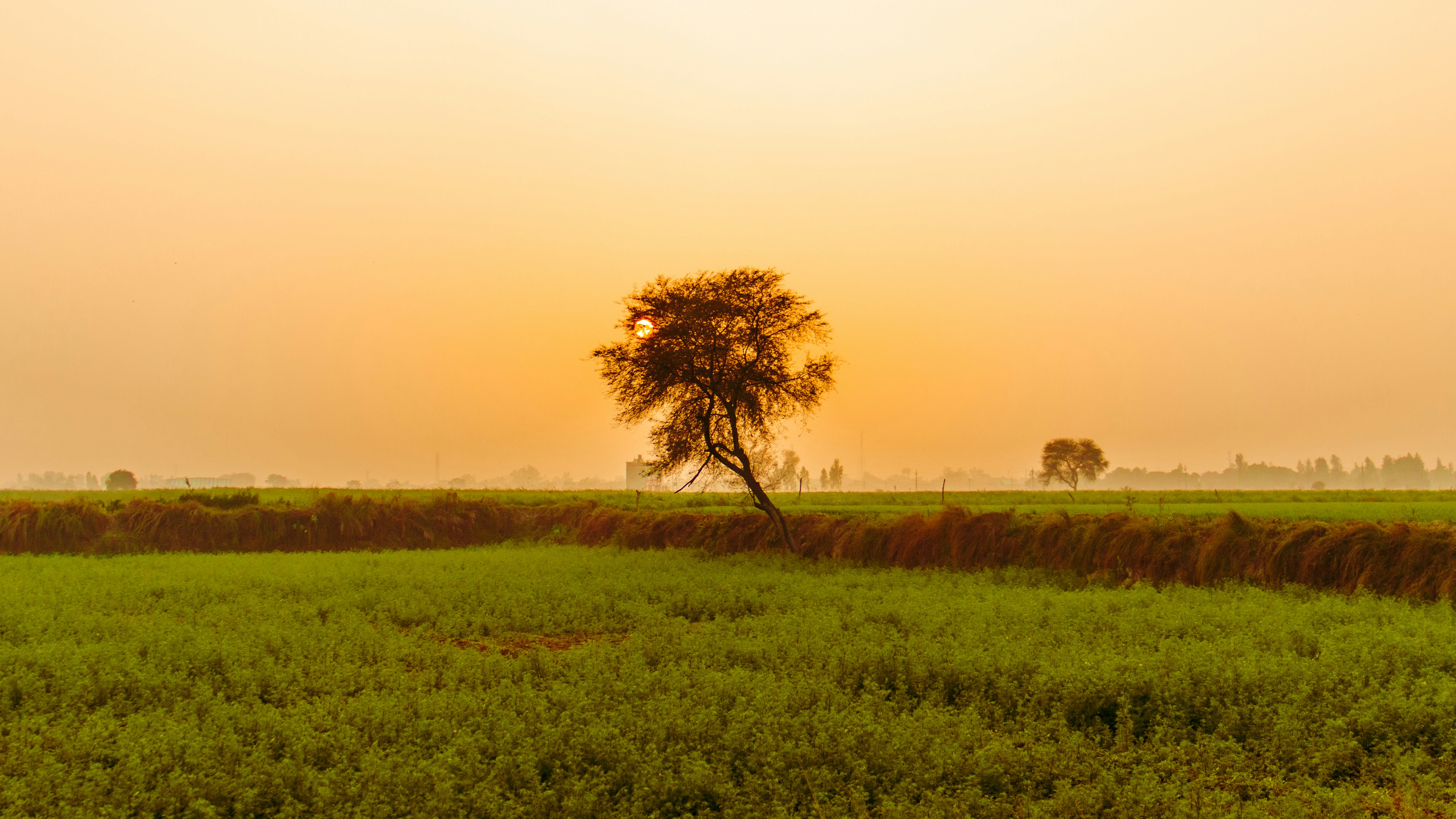 Photo by brajendra_lens_a_lot_