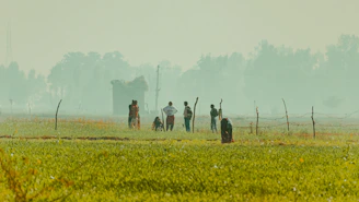 Team of professionals working with fumigation equipment in a lush agricultural field.
