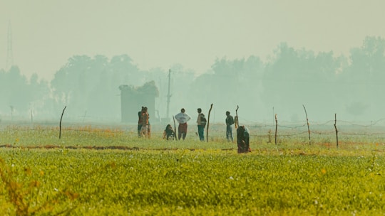 A group of farmers working together in a lush green field during sunrise.