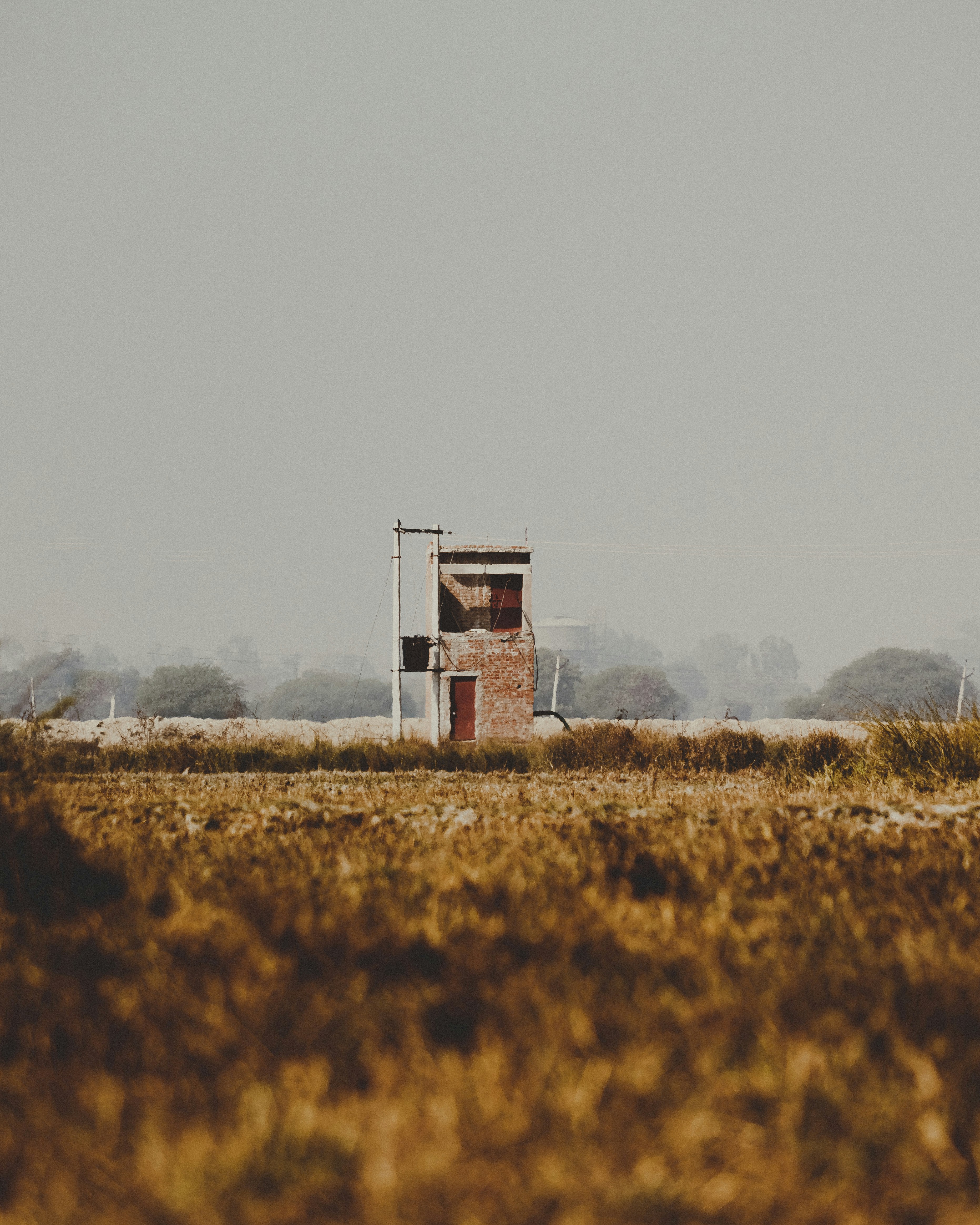 Photo by brajendra_lens_a_lot_