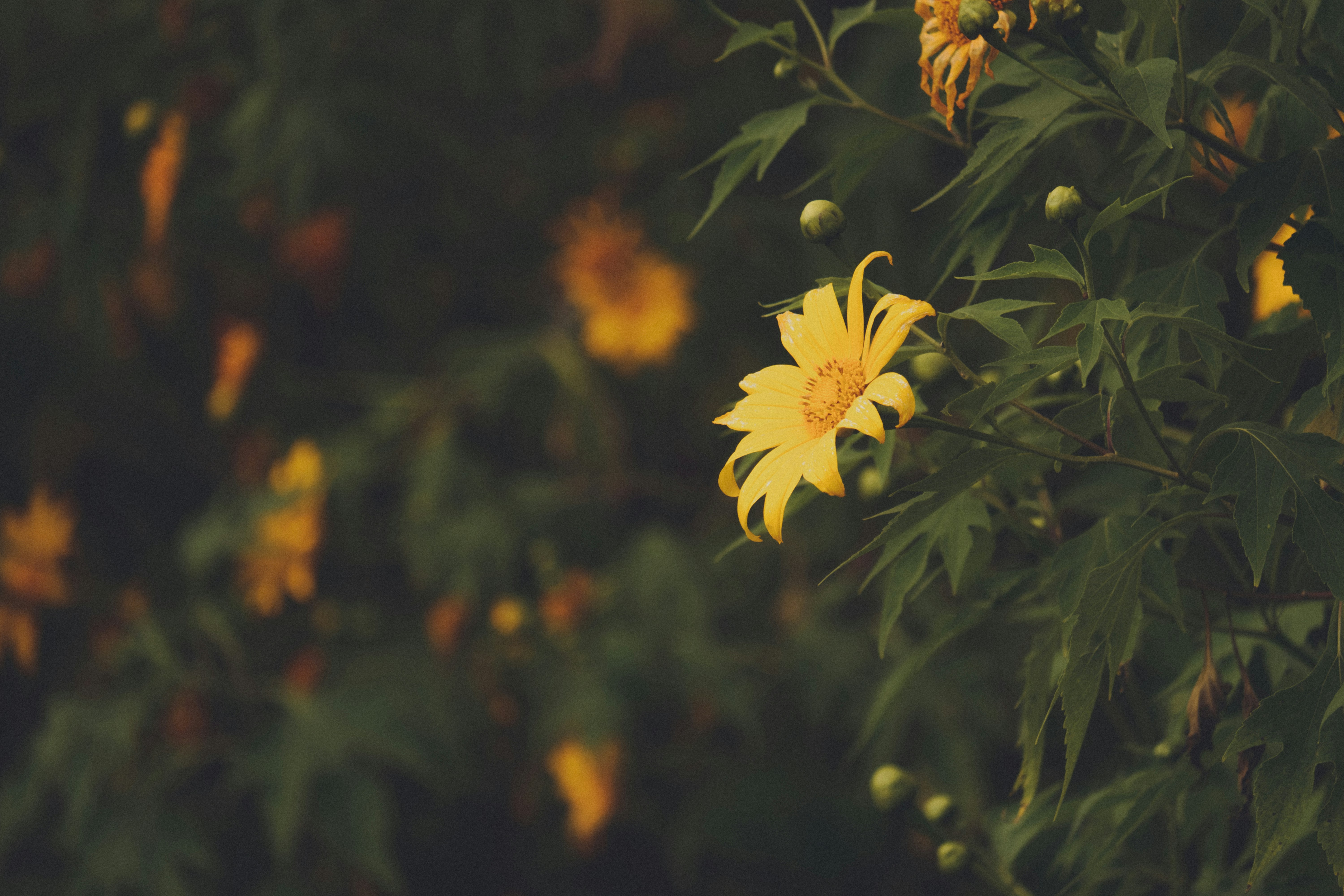 Photo by xiaowuuuuuuu