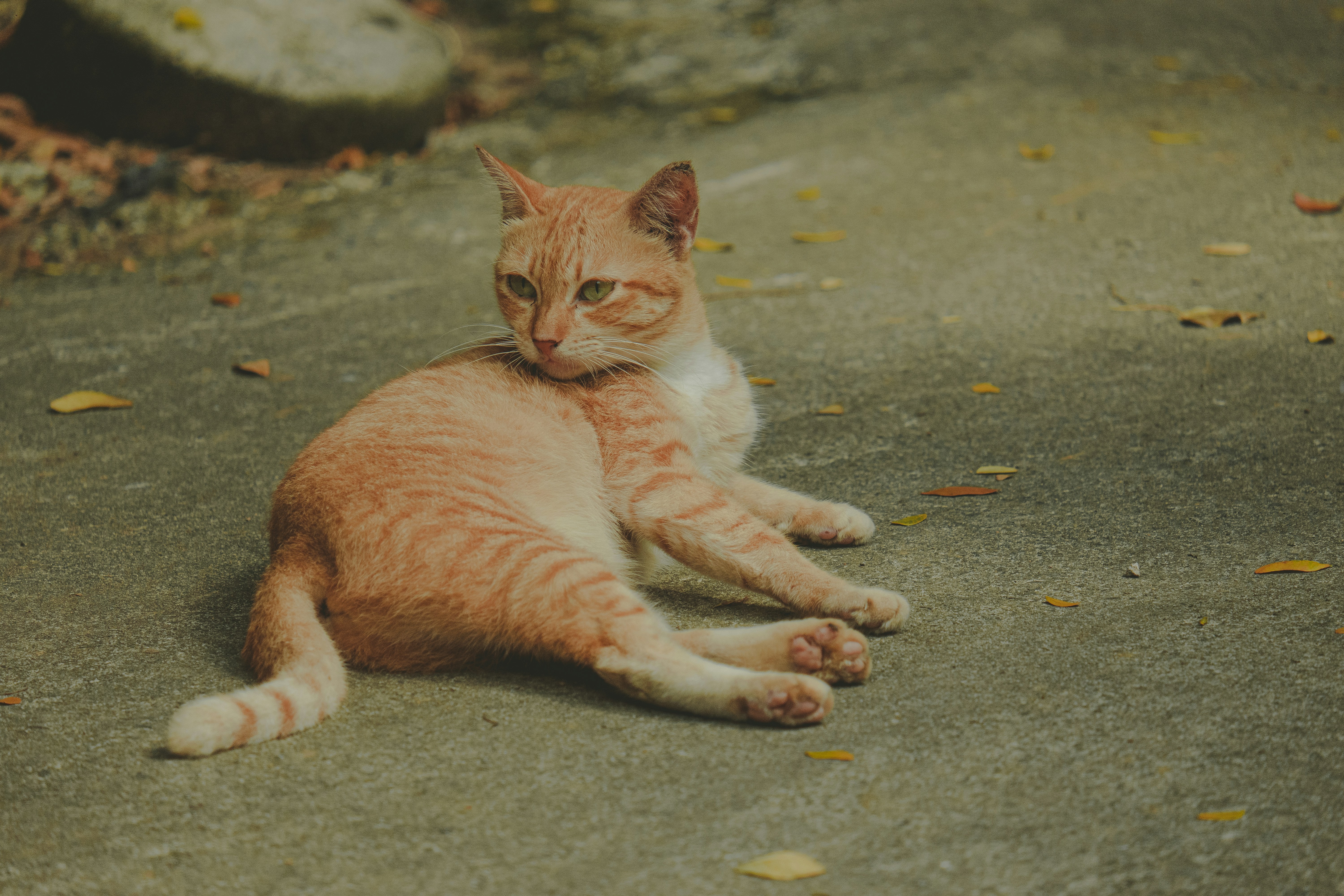 Photo by xiaowuuuuuuu