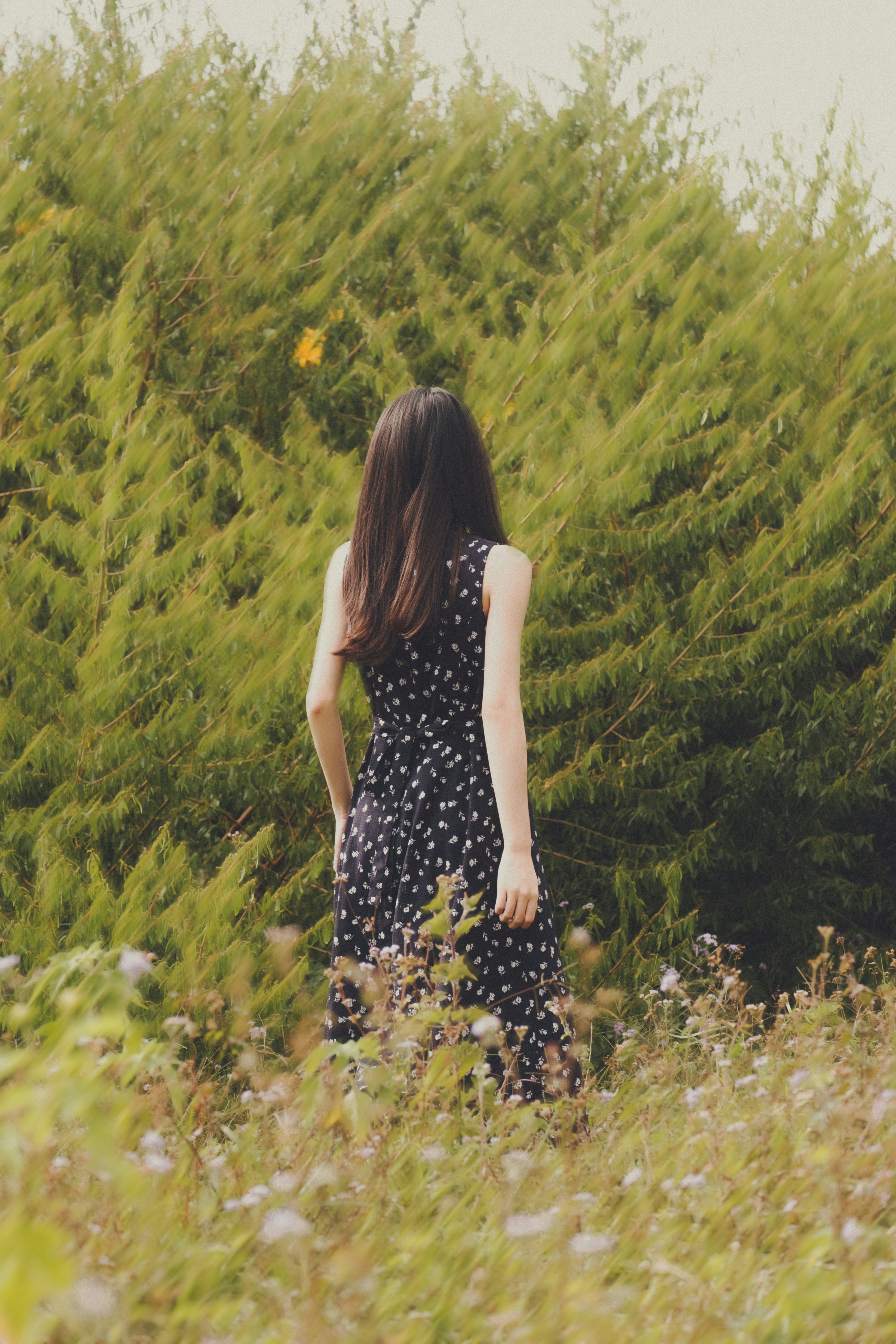 Photo by xiaowuuuuuuu