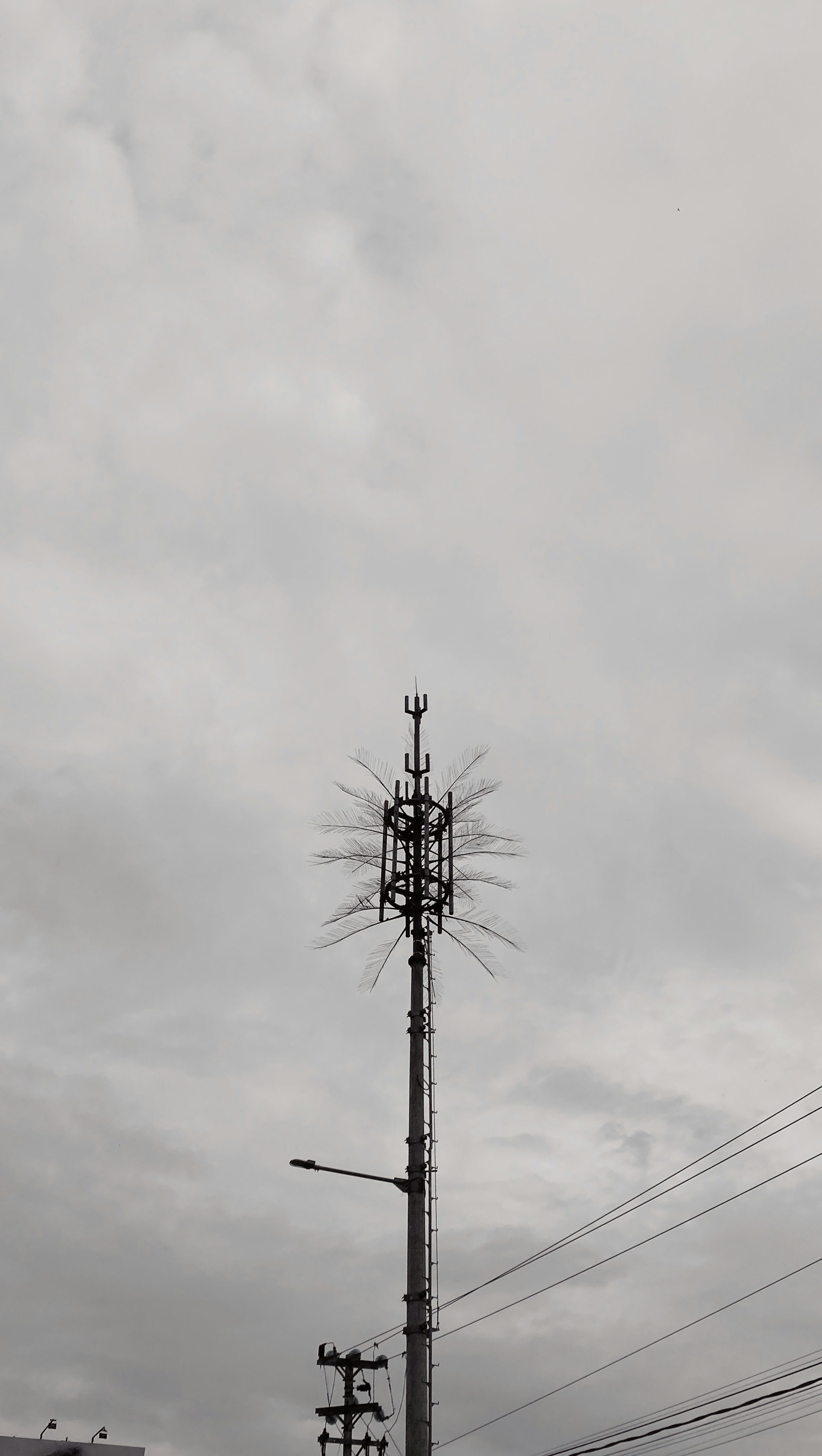 woman wearing yellow long-sleeved dress under white clouds and blue sky during daytime