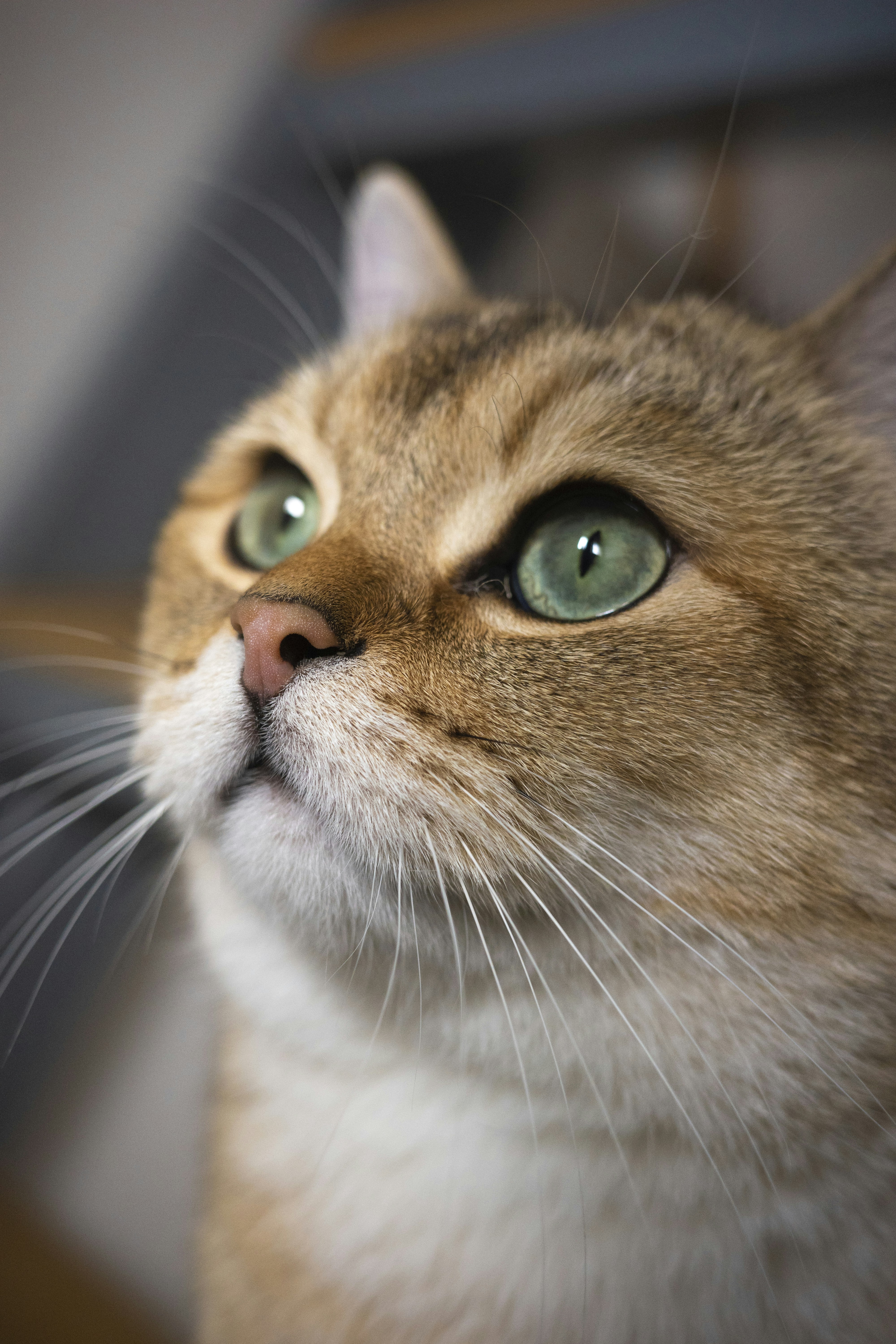 Photo by dynamicwang