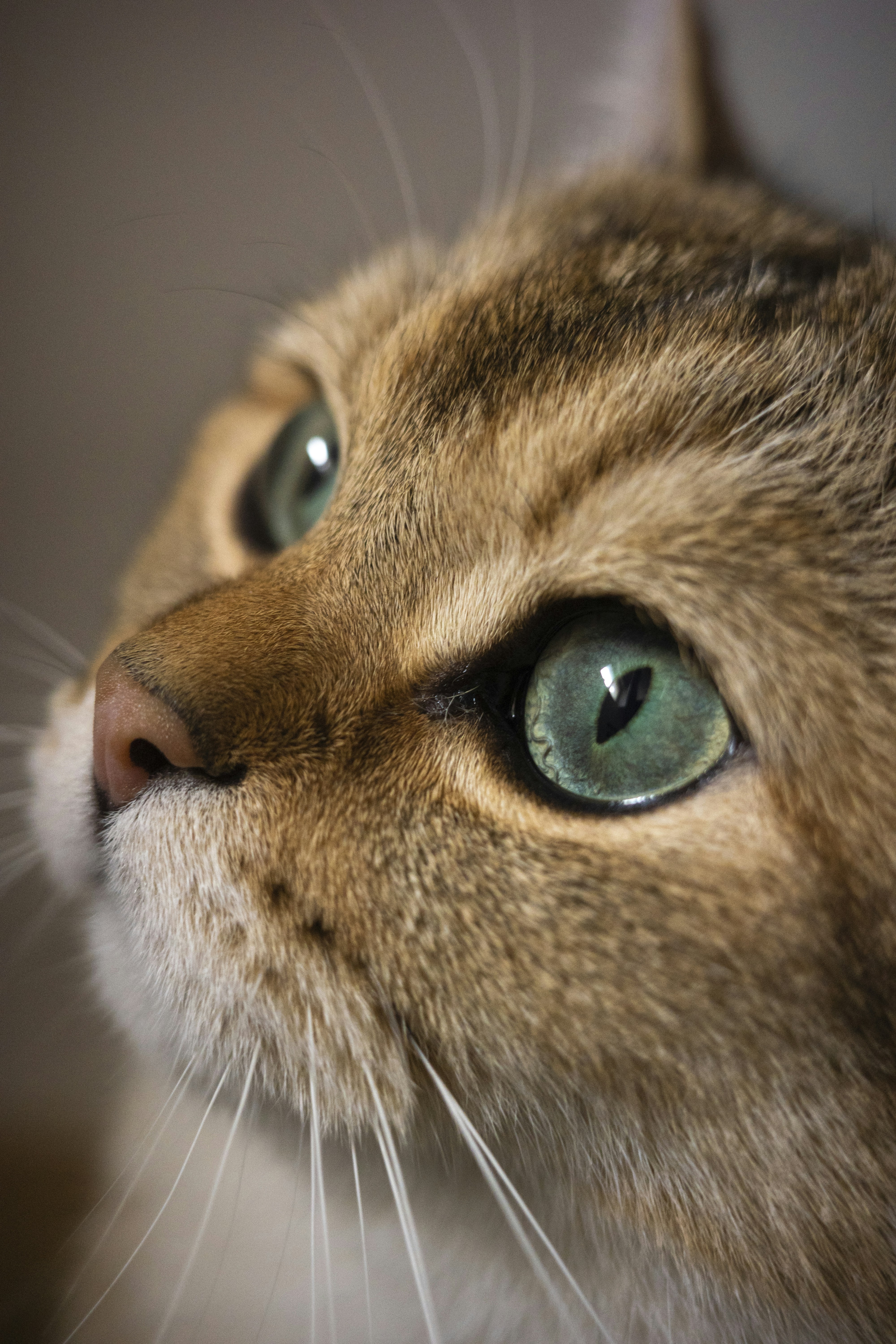 Photo by dynamicwang