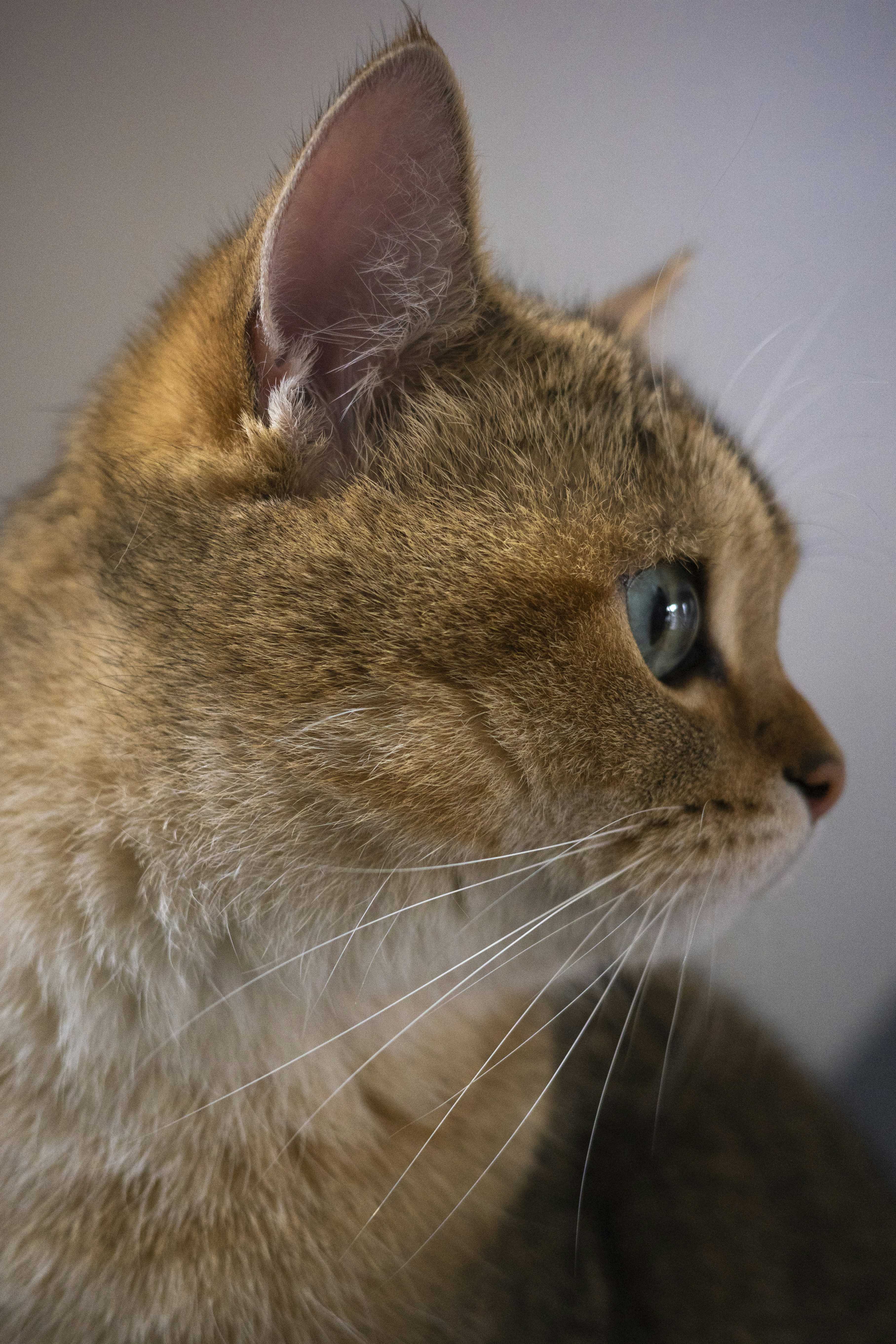 Photo by dynamicwang