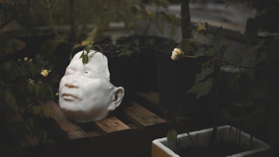A white plaster cast of a human face resting on a wooden pallet surrounded by potted plants. The face appears serene and unpainted while green leaves and a small white flower partially obscure it. The setting is dimly lit with a natural, somewhat eerie atmosphere.
