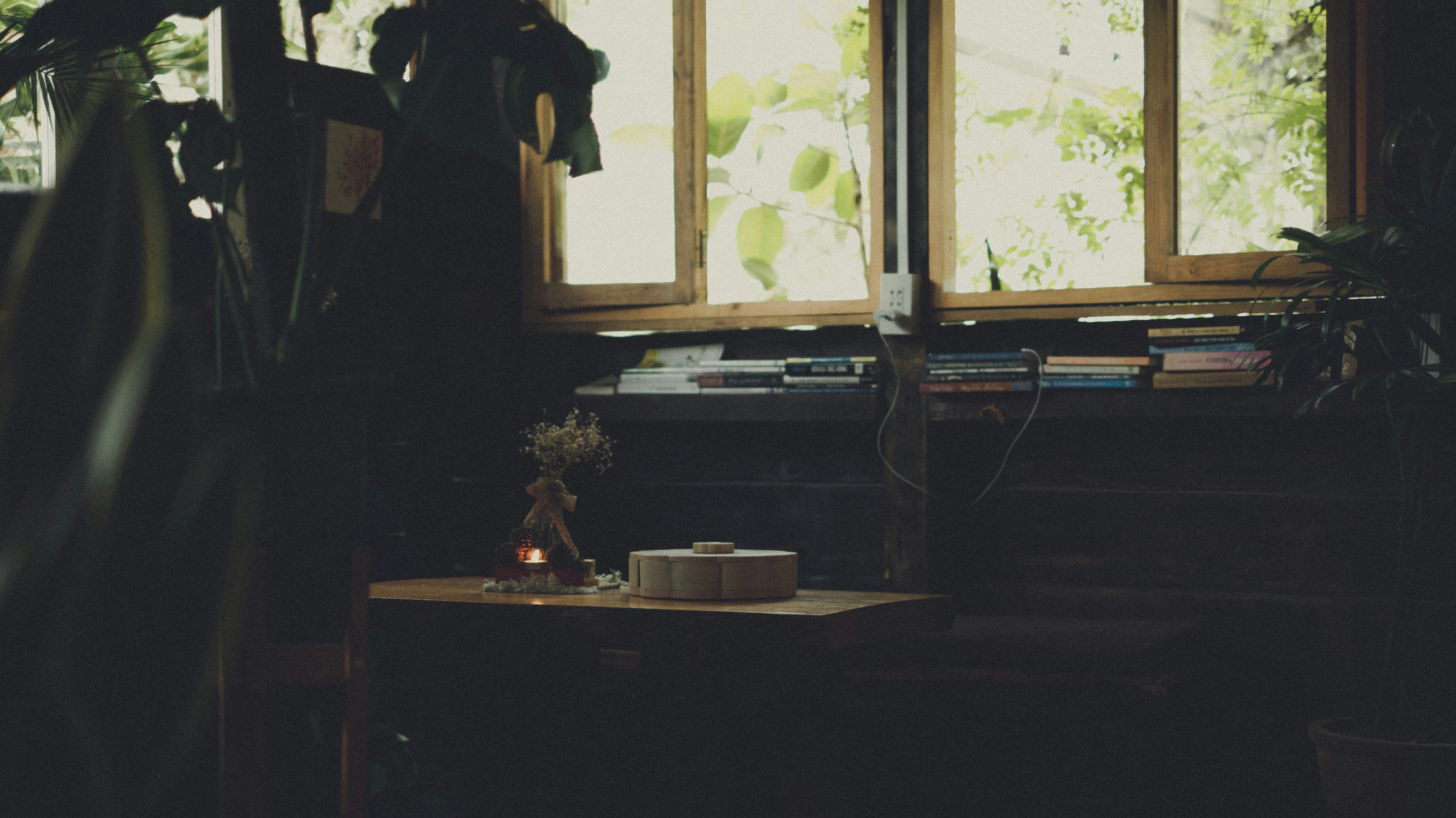 Photo by xiaowuuuuuuu