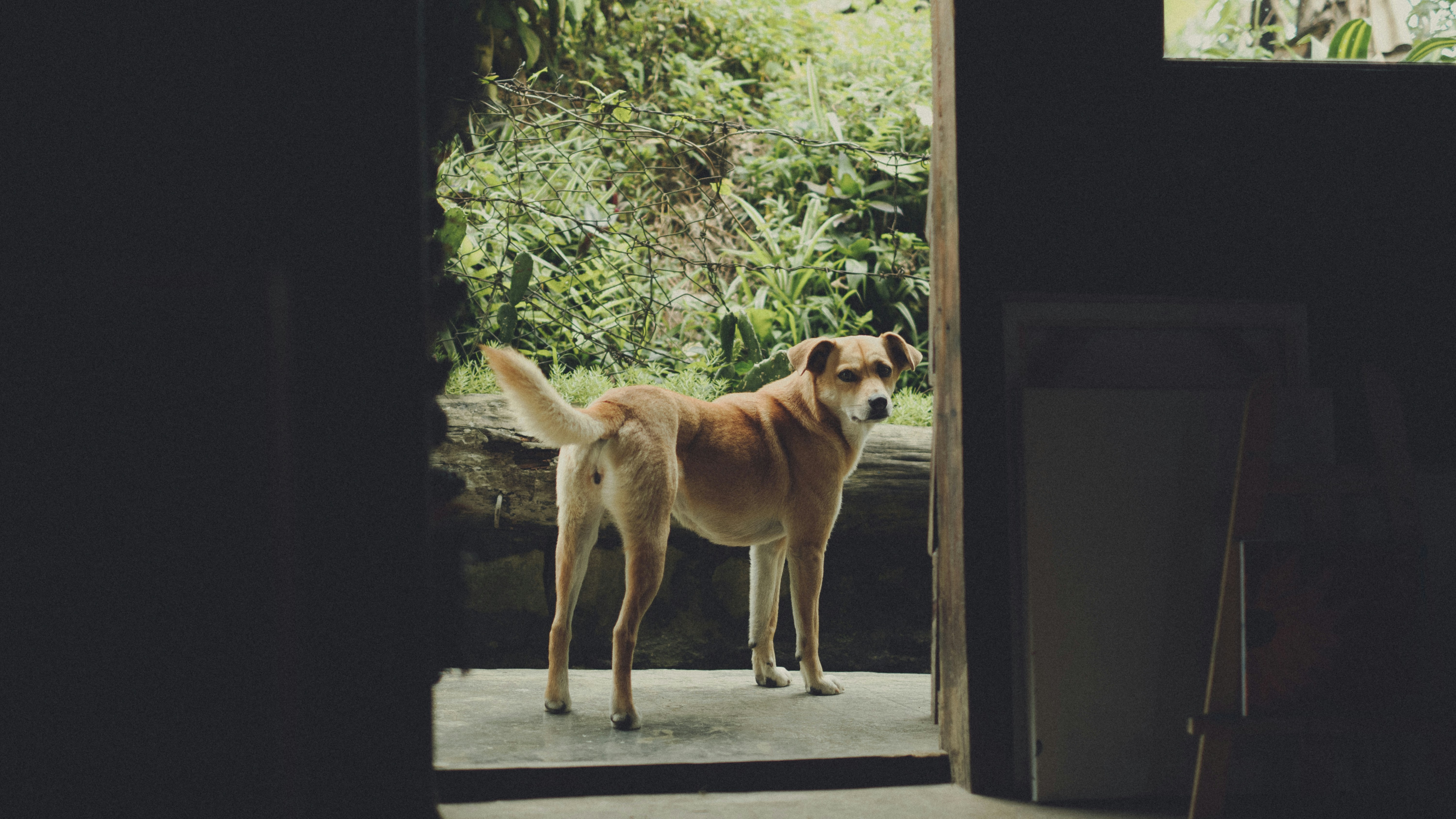 Photo by xiaowuuuuuuu