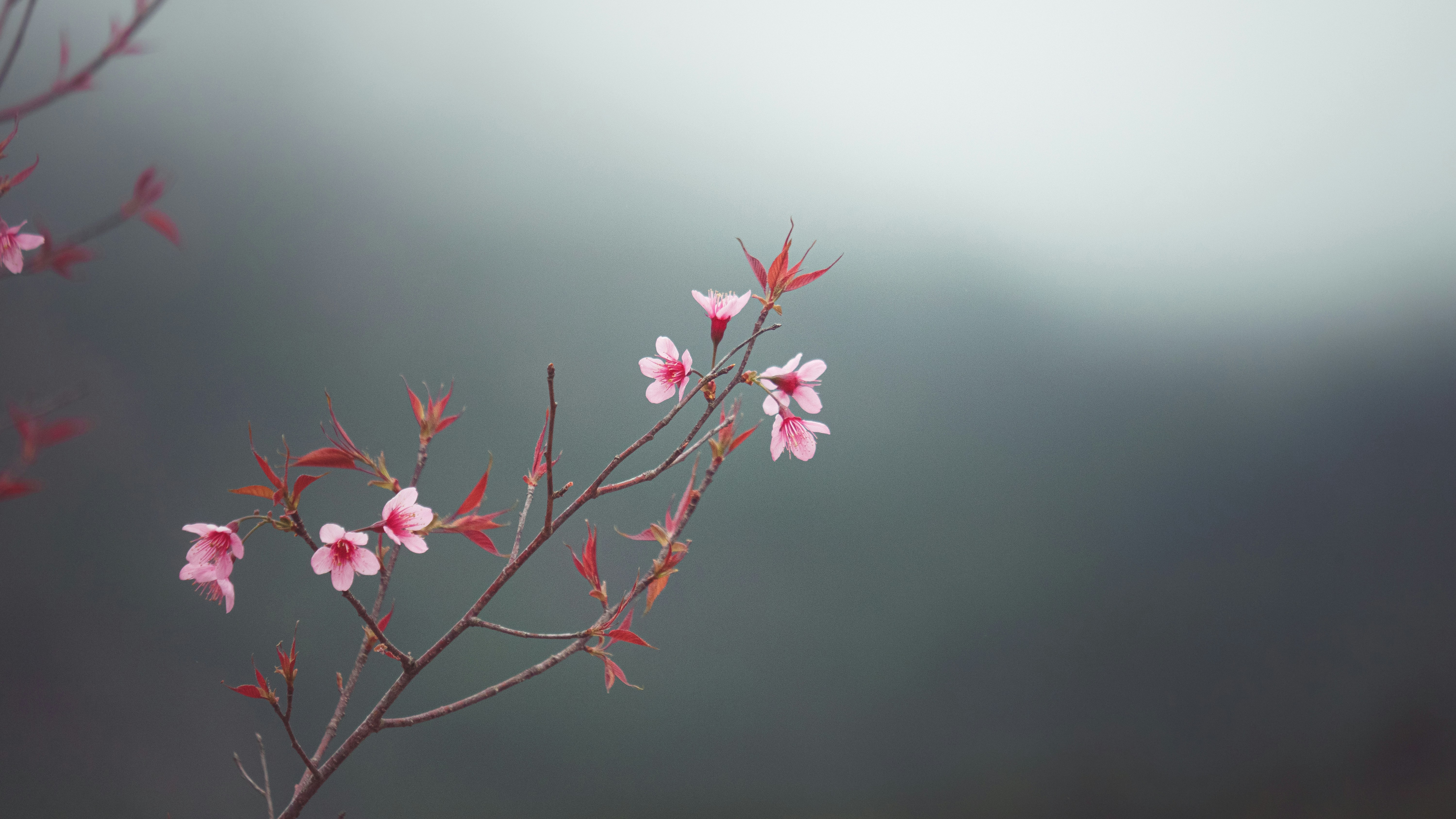 Photo by xiaowuuuuuuu