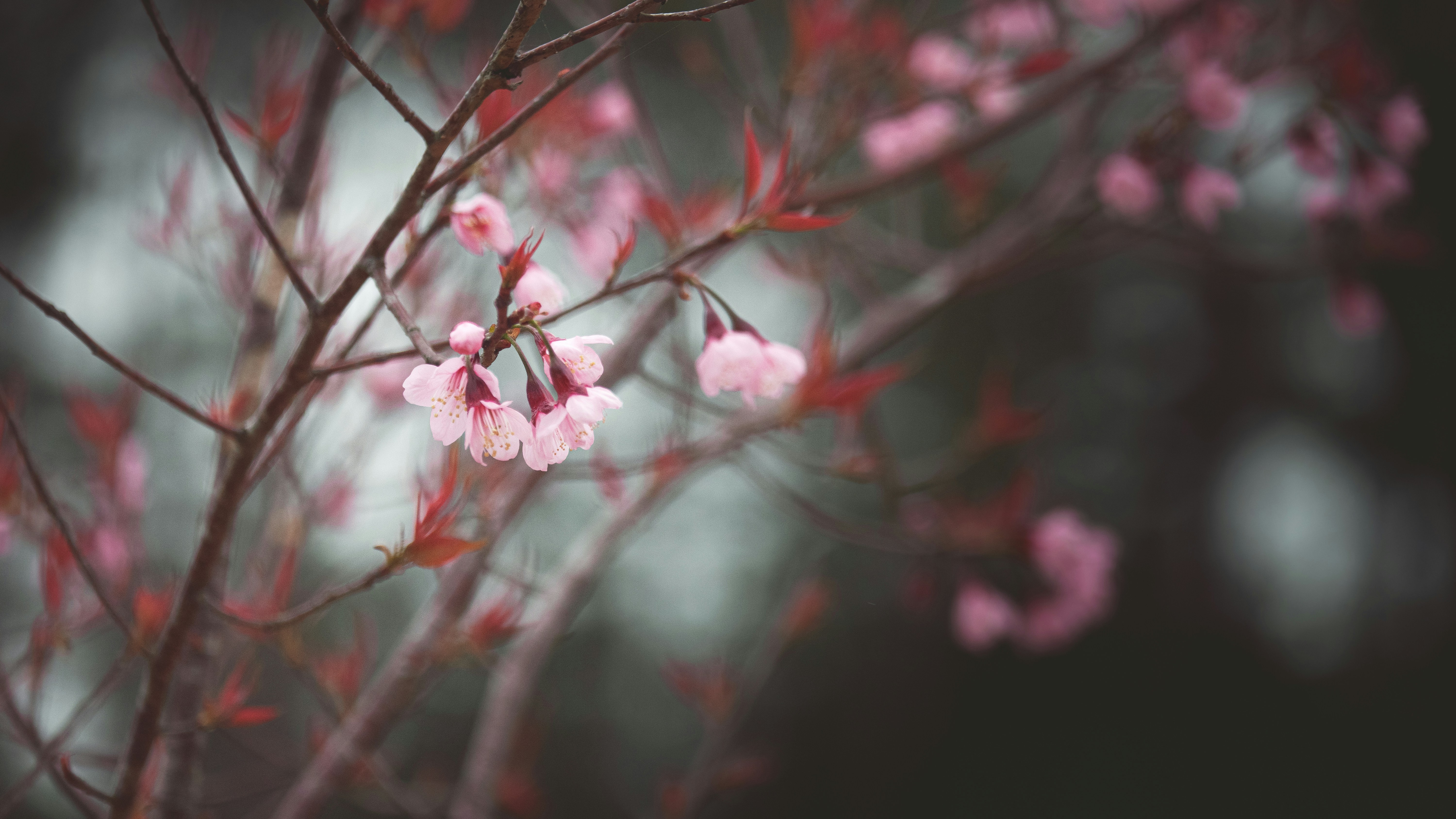 Photo by xiaowuuuuuuu