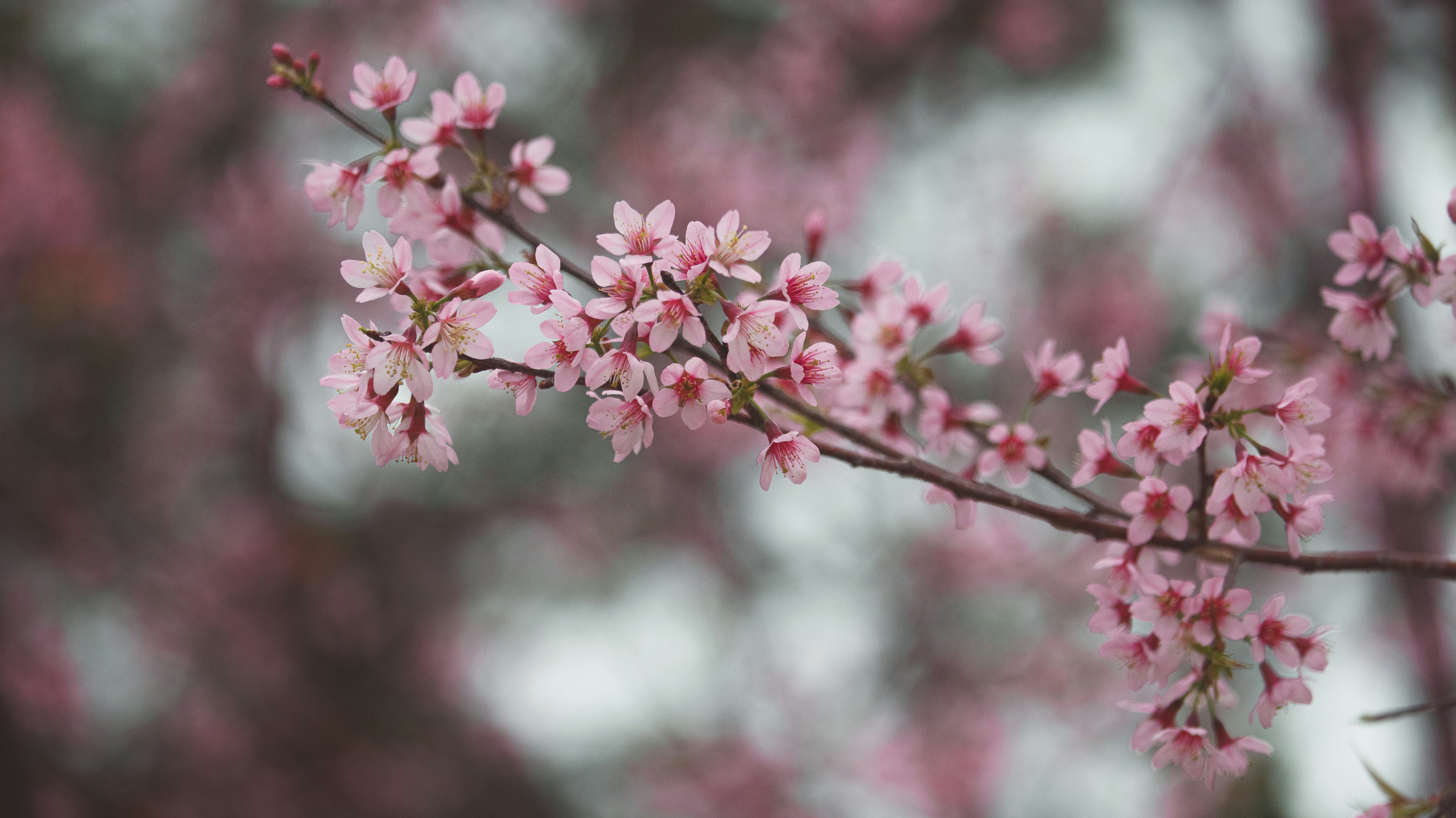 Photo by xiaowuuuuuuu