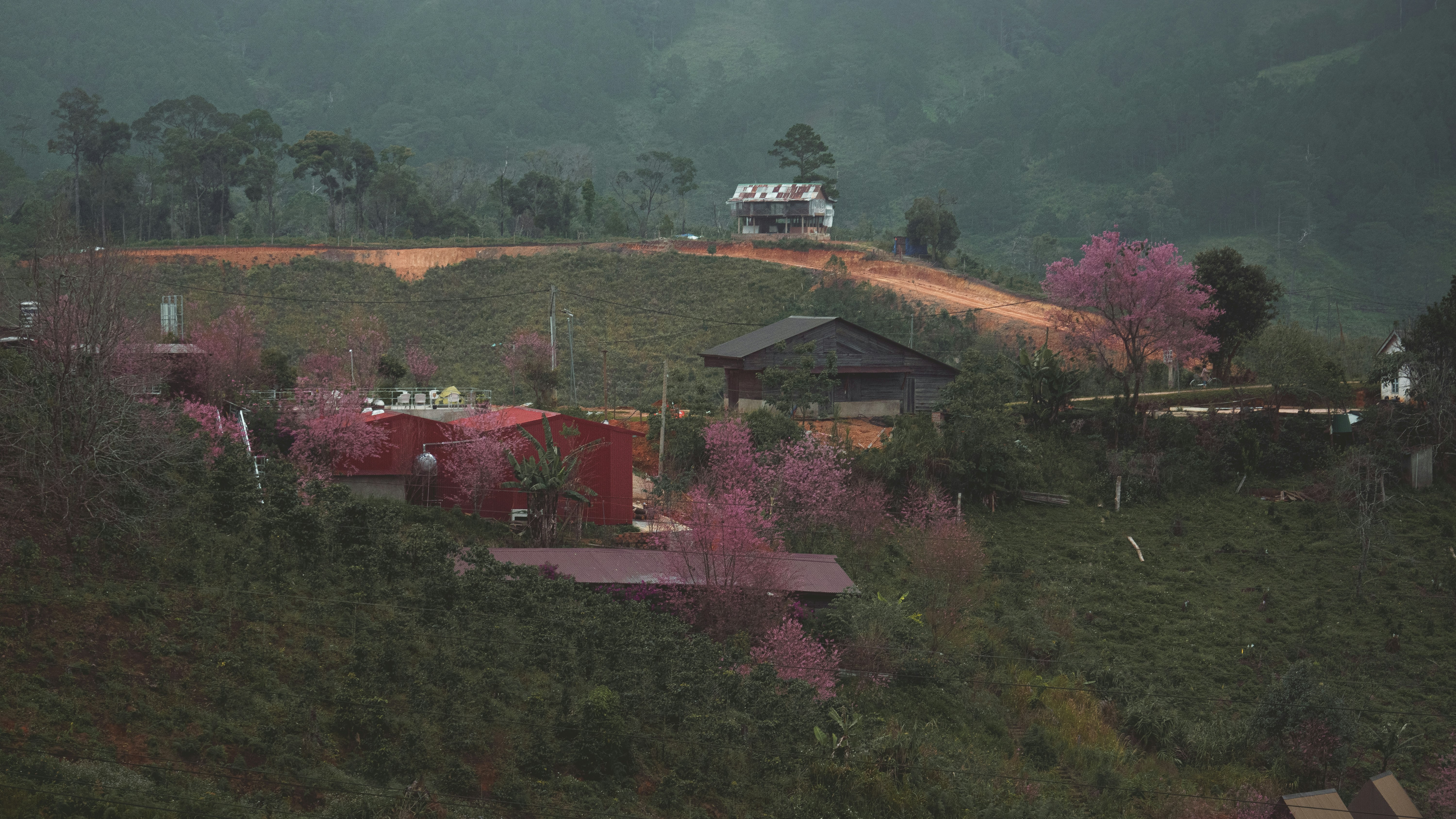 Photo by xiaowuuuuuuu
