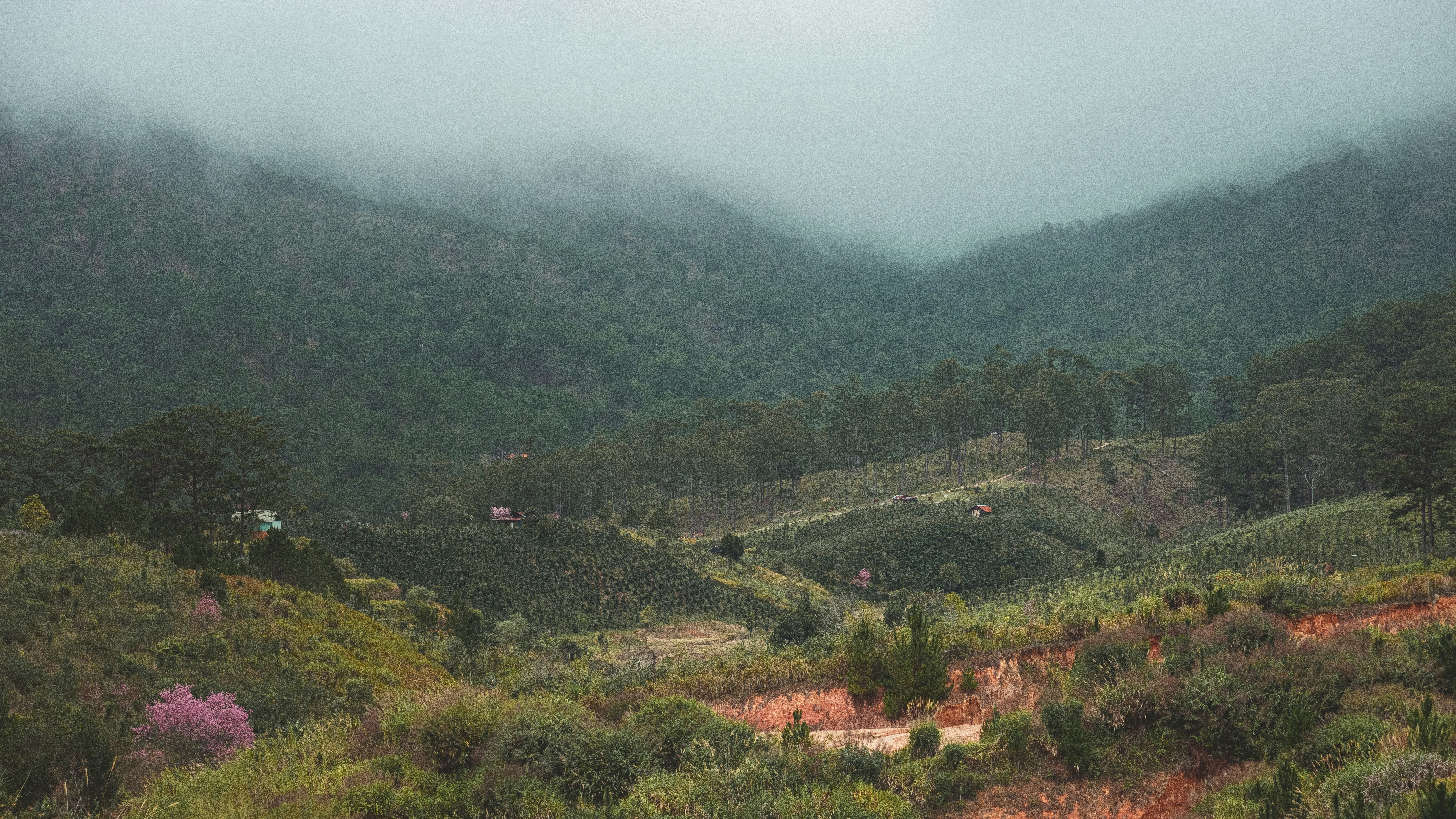 Photo by xiaowuuuuuuu