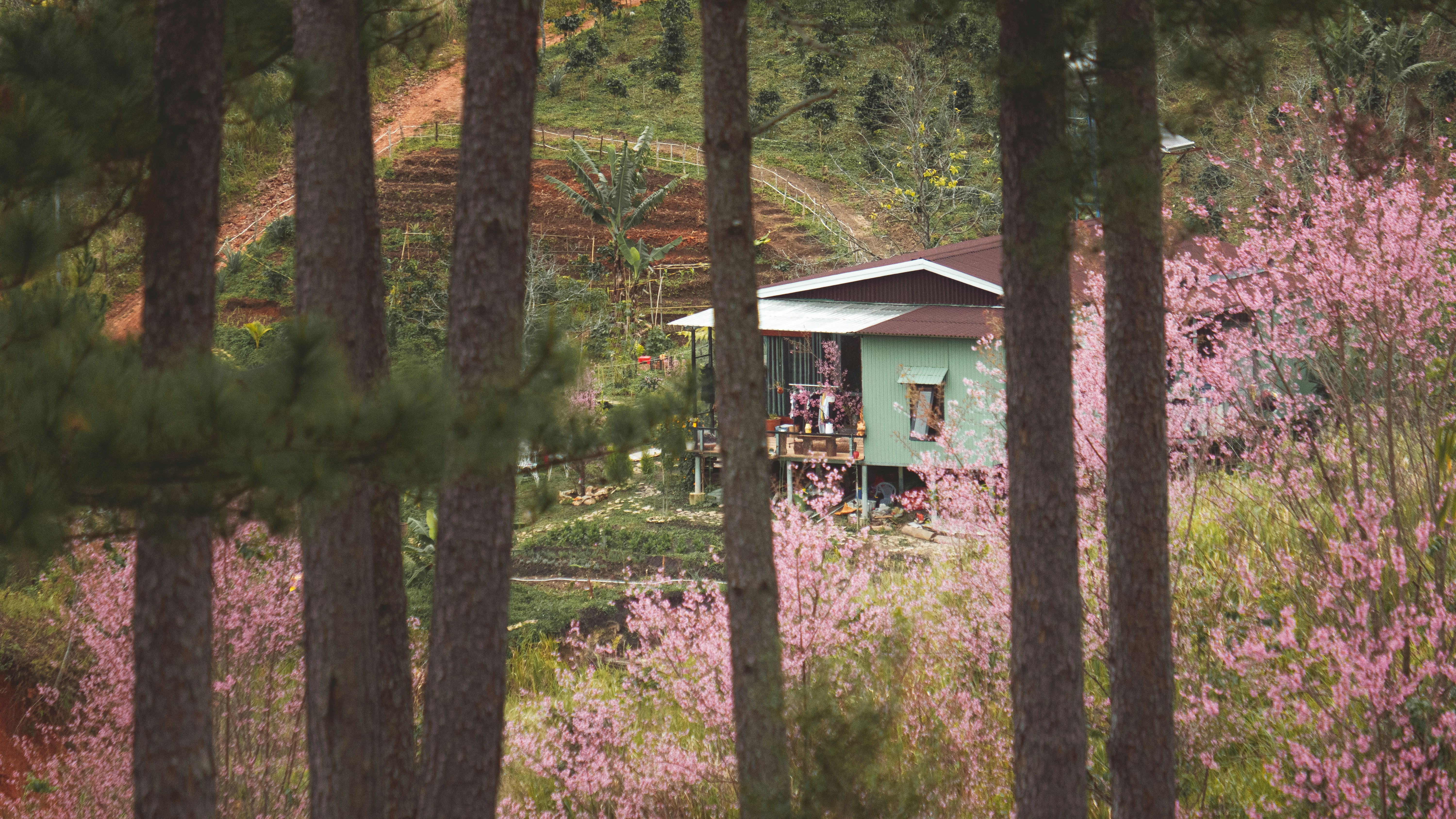 Photo by xiaowuuuuuuu