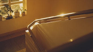 Soft morning light spilling over a windowsill filled with potted plants.