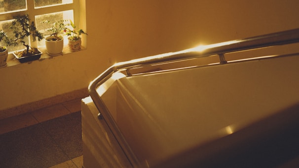 Soft morning light spilling over a windowsill filled with potted plants.