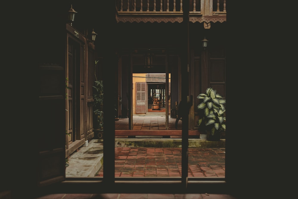 an open door to a building with a plant in it