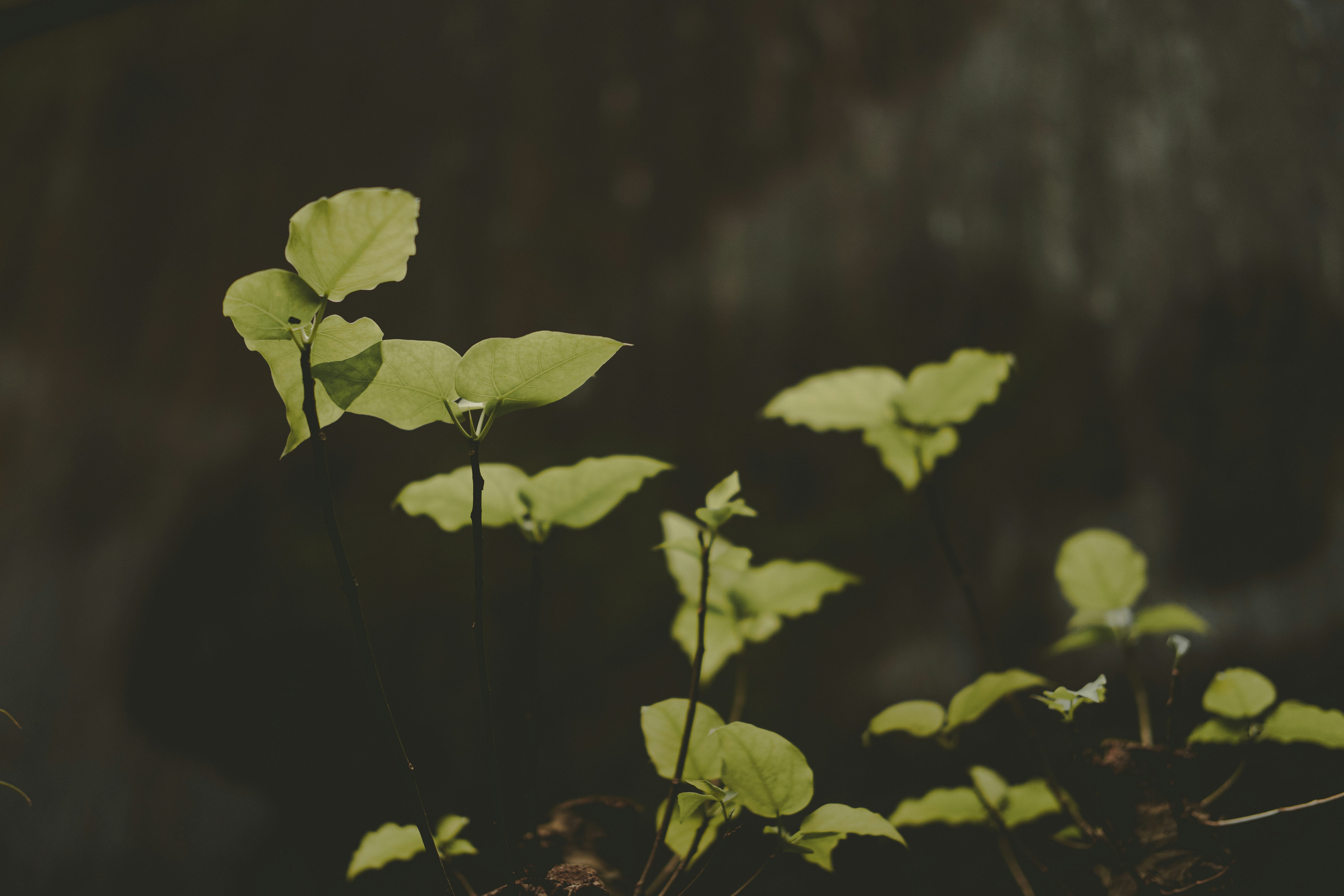 Photo by xiaowuuuuuuu