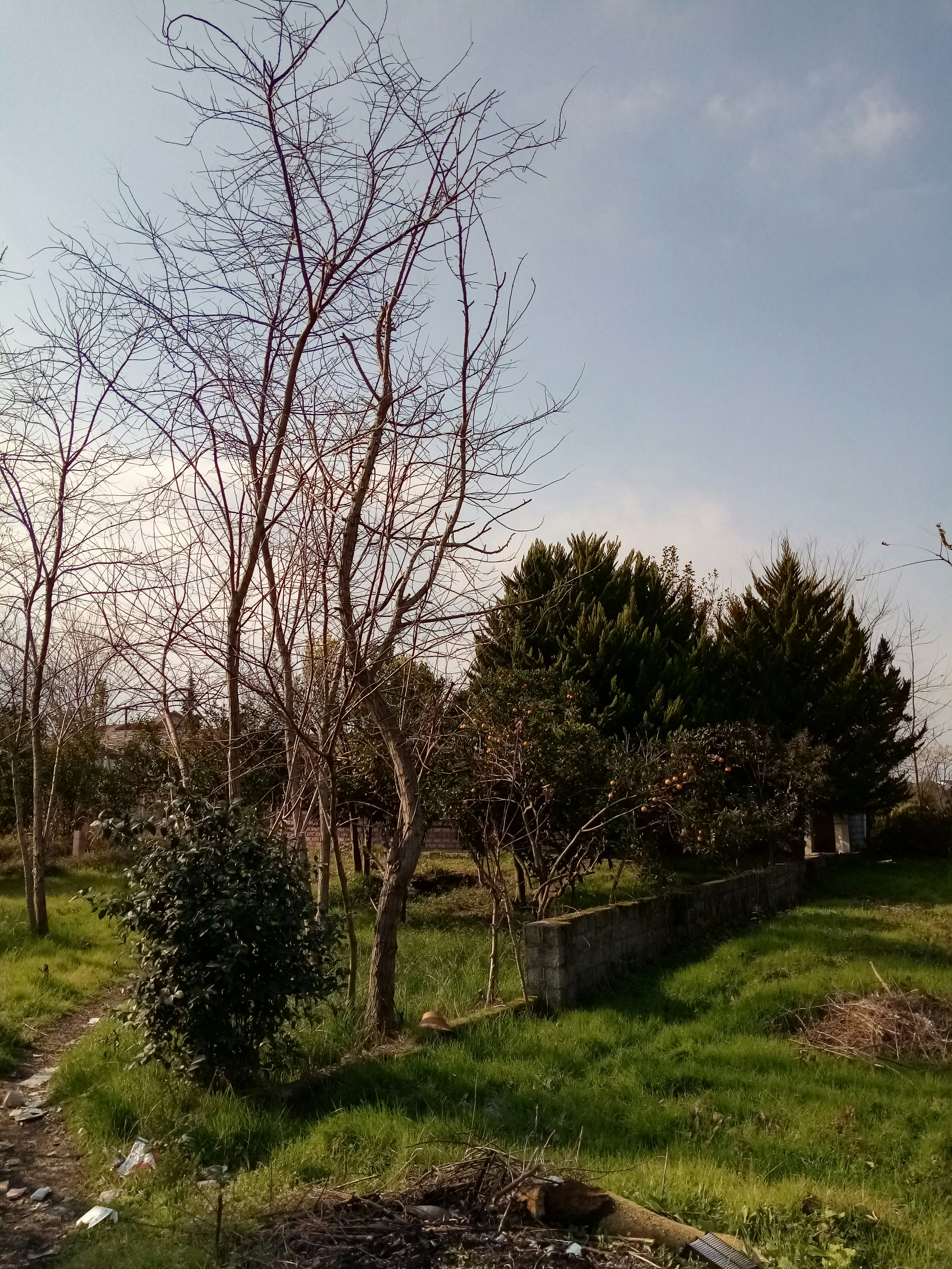 Photo by abolfazlnasrollahzadeh