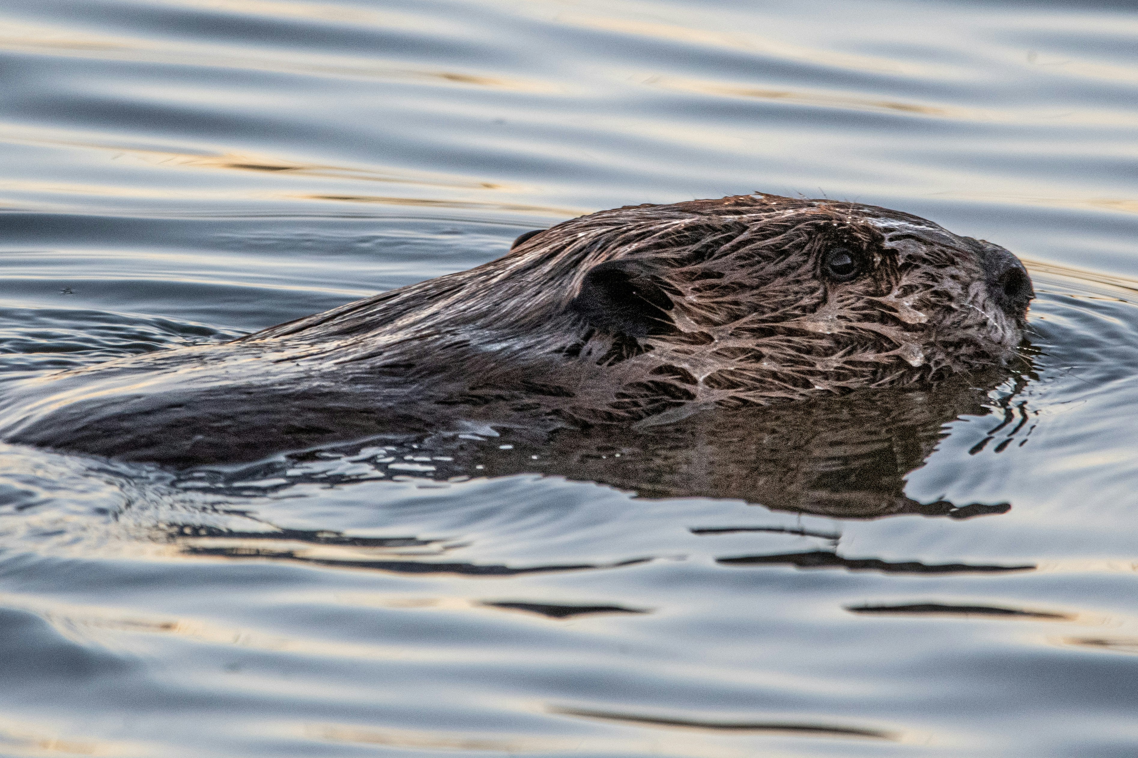 Photo by elisastonephotography