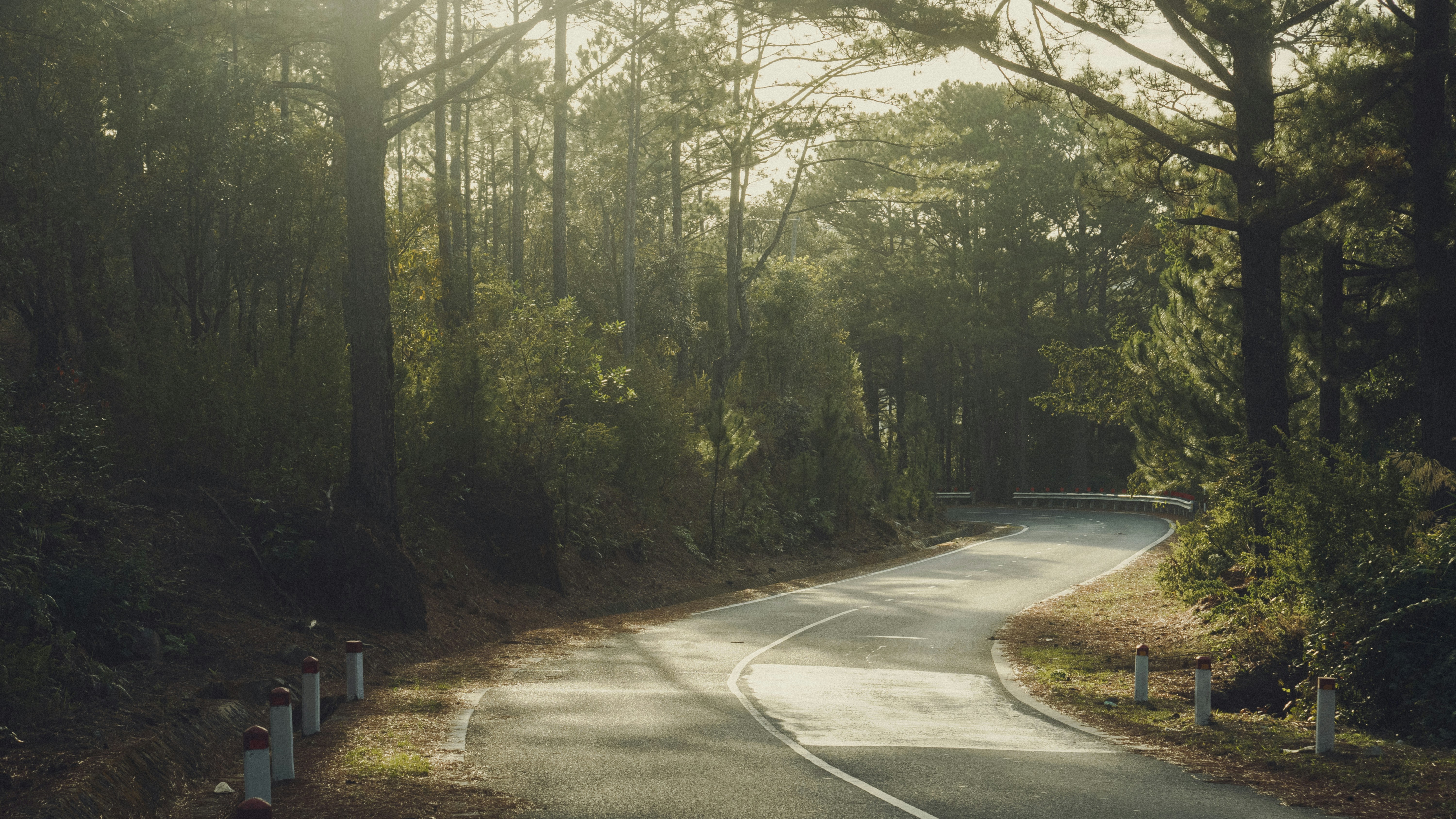 Eine kurvenreiche Straße mitten im Wald