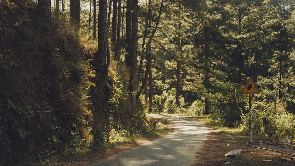 a road in the middle of a wooded area